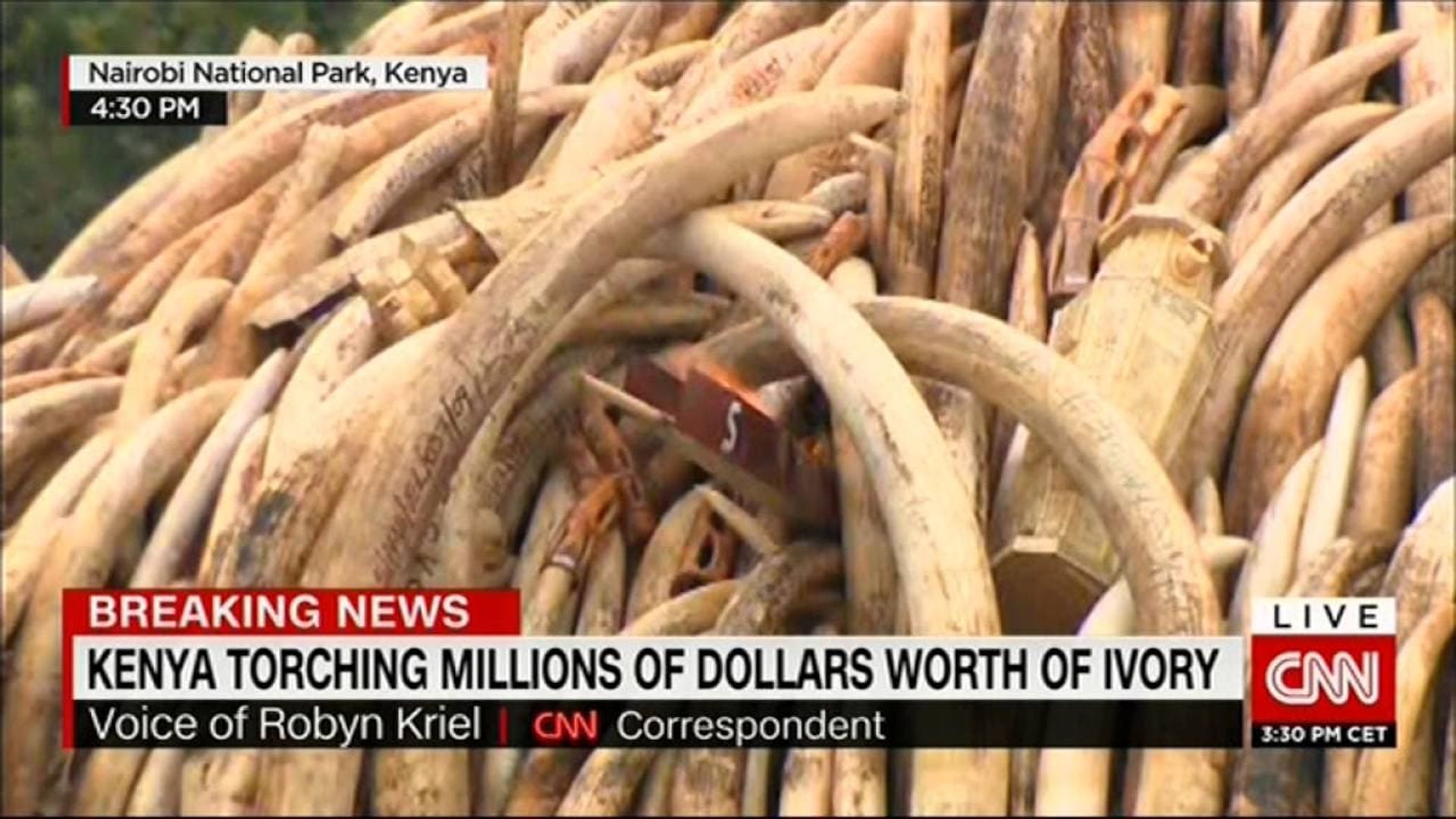 Ivory. A Crime Story background