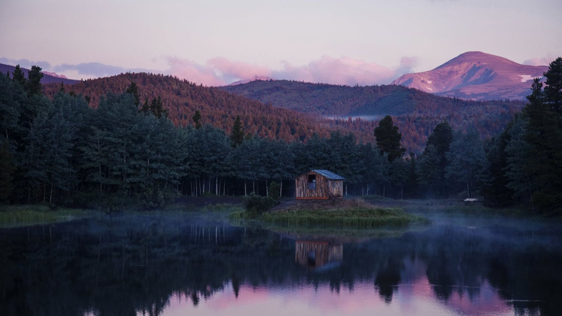 Walden: Life in the Woods background