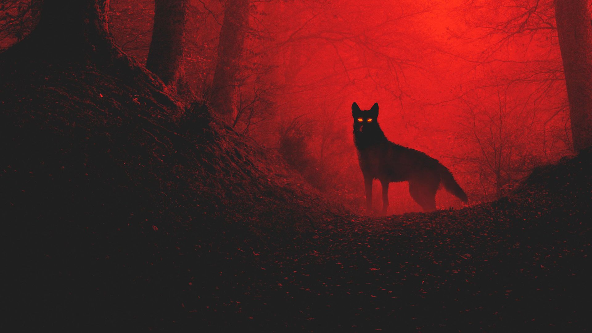 Rabid background