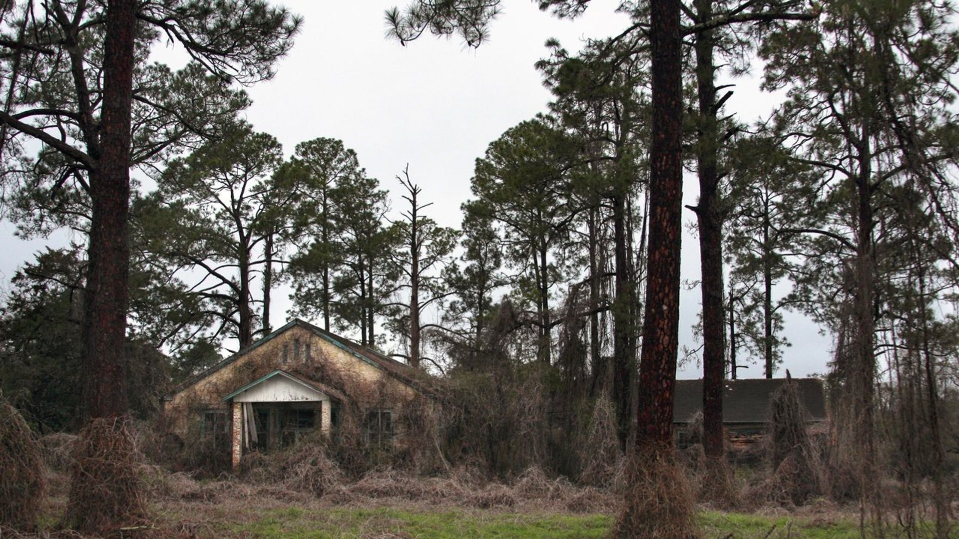 Deadly Secrets: The Lost Children of Dozier background