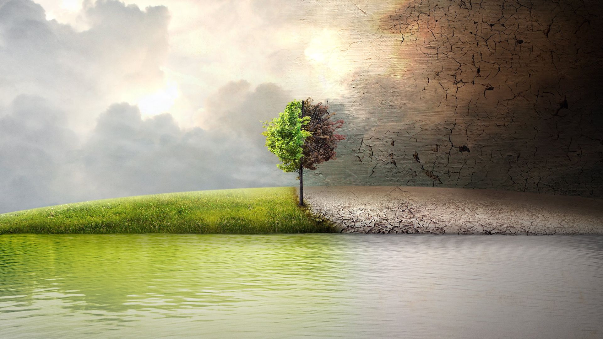 Before the Flood background