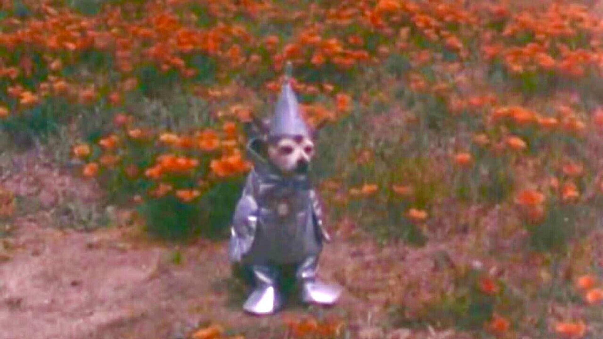 Tinwoodsman's Home Movie #2 background