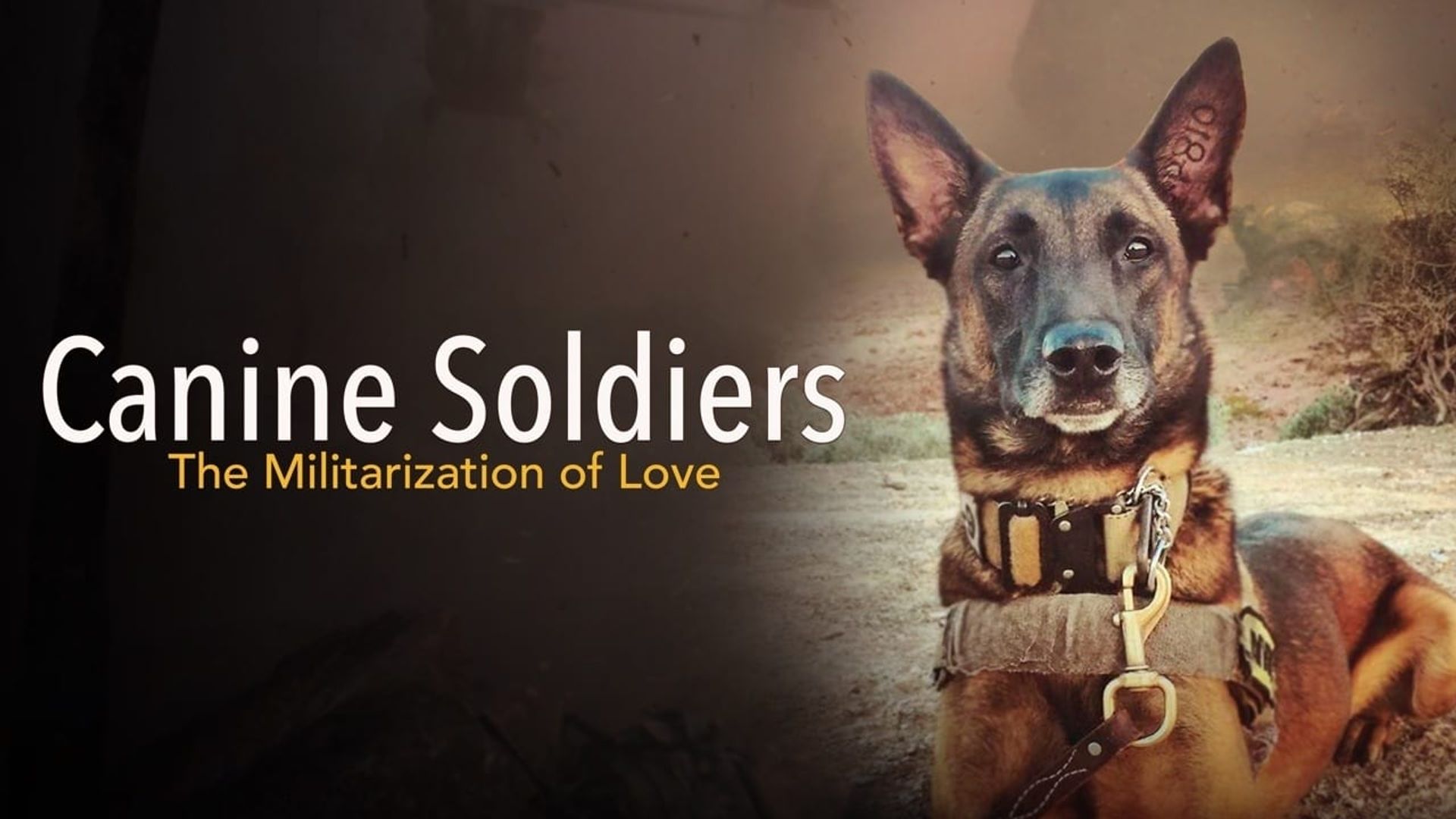 Canine Soldiers background