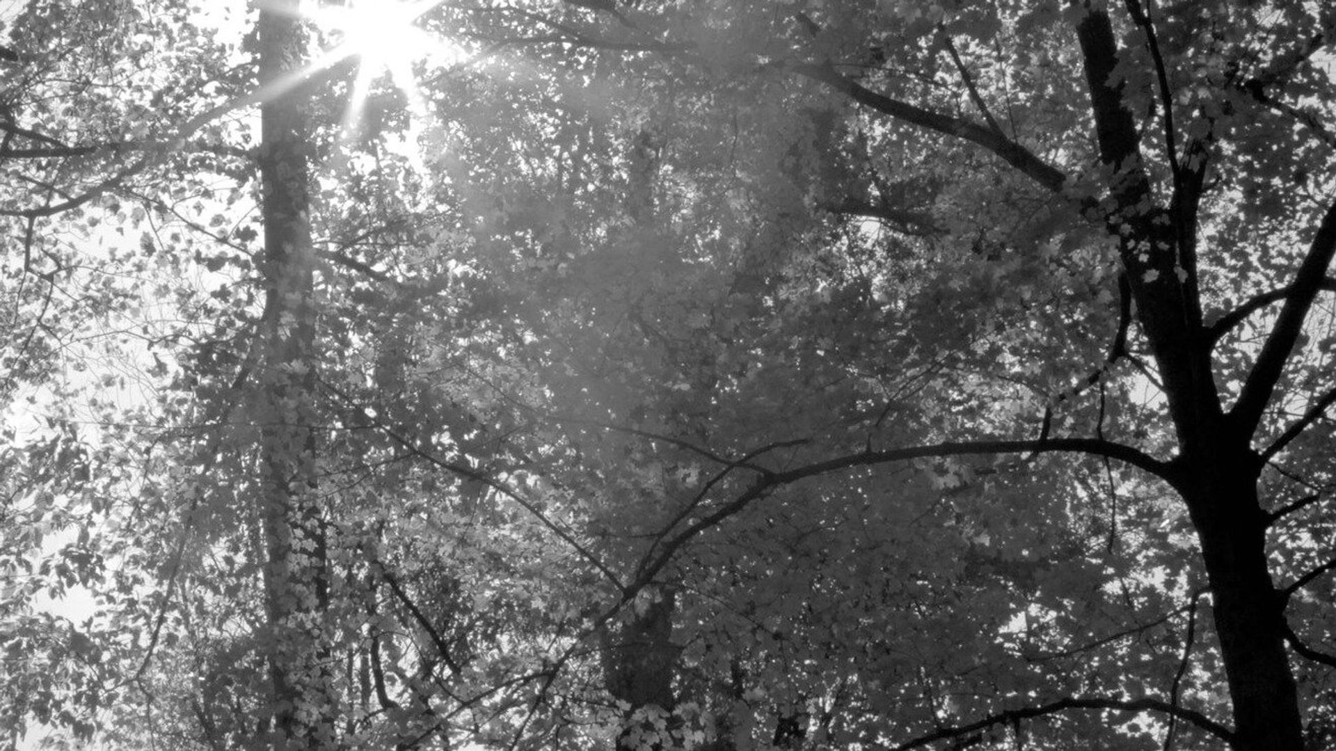 10 K background