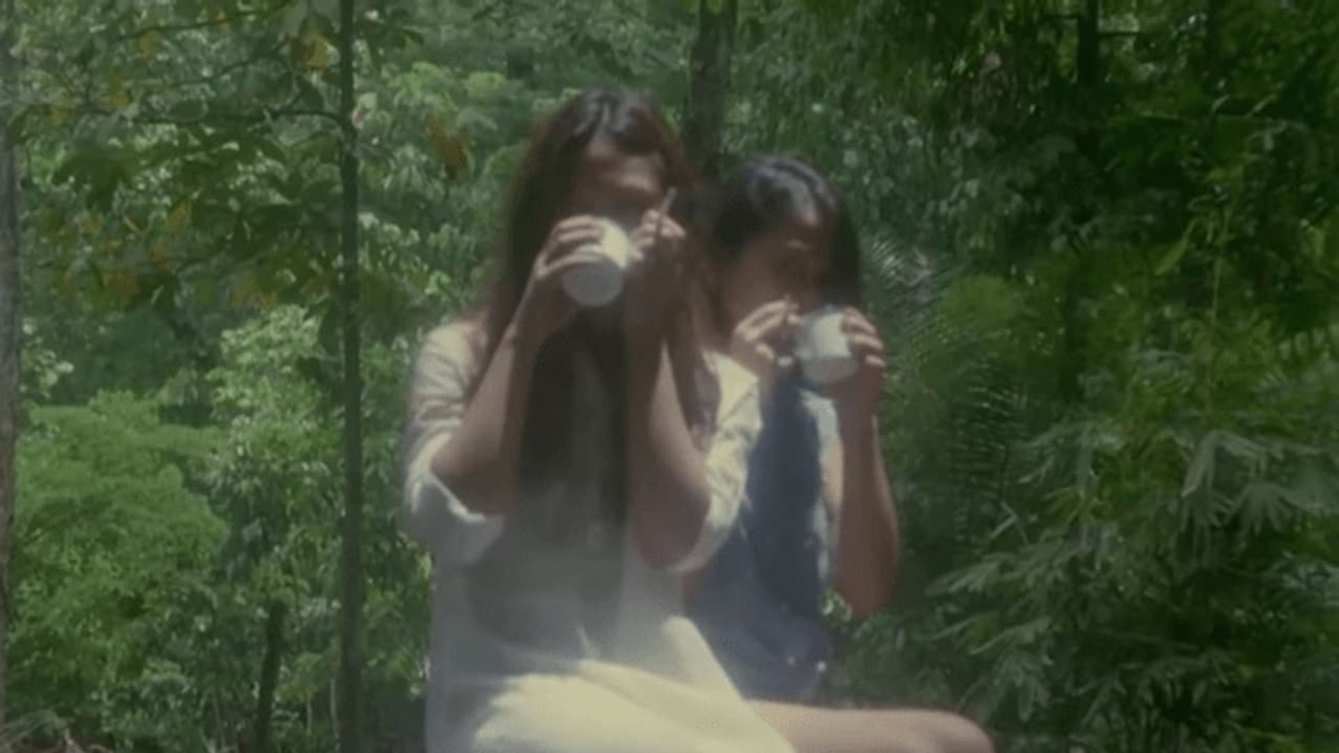People Power Bombshell: The Diary of Vietnam Rose background