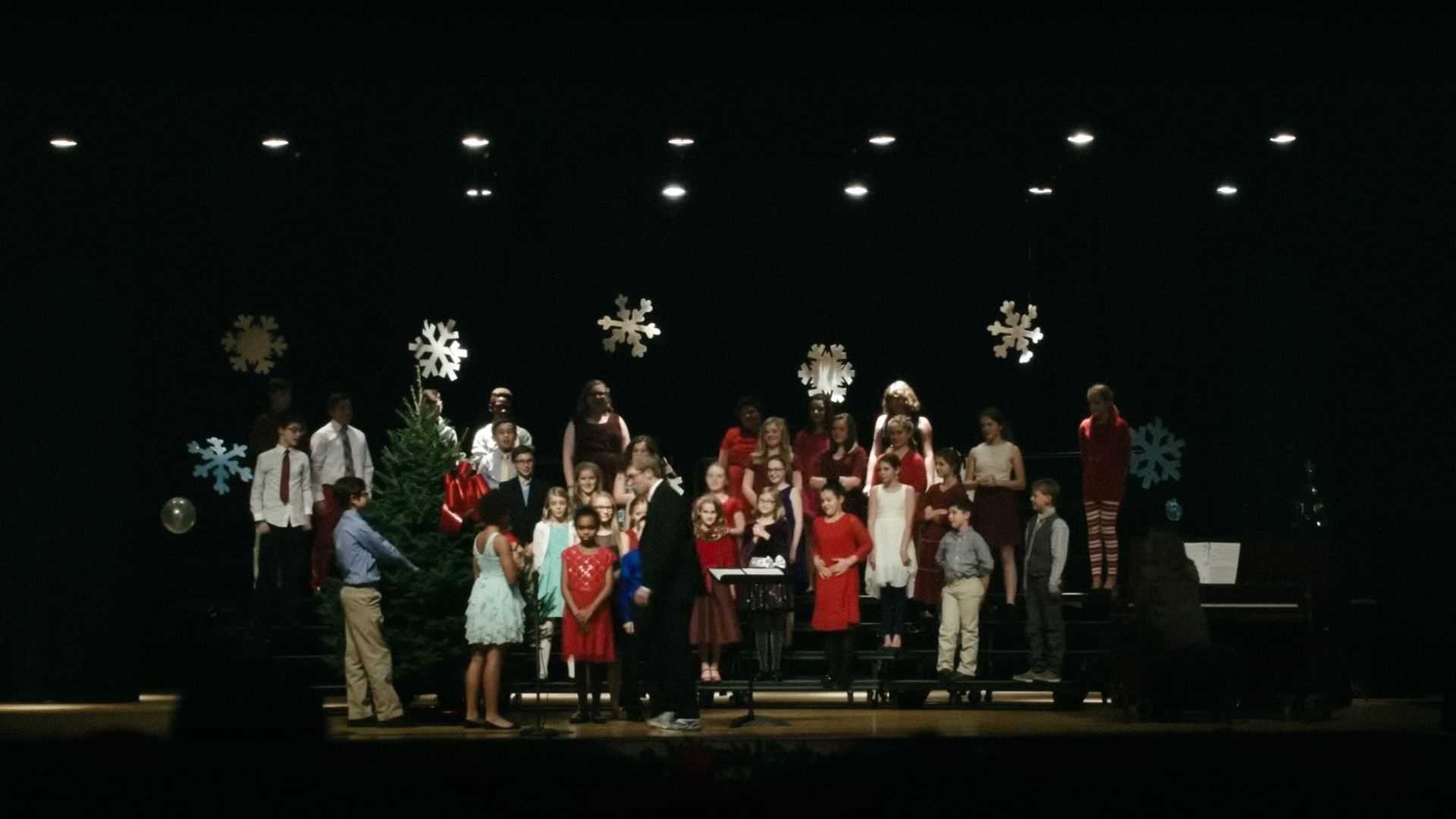Joe Pera Helps You Find the Perfect Christmas Tree background