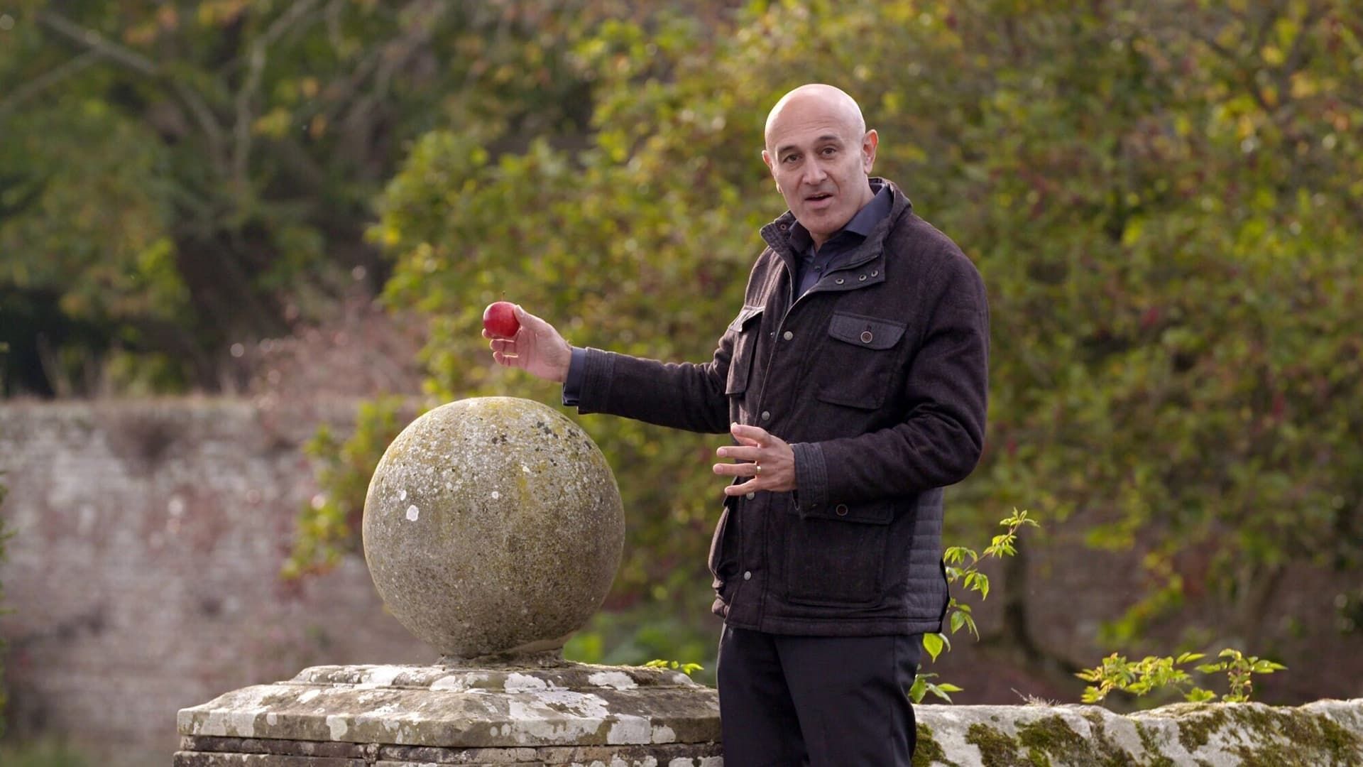 Gravity and Me: The Force That Shapes Our Lives background