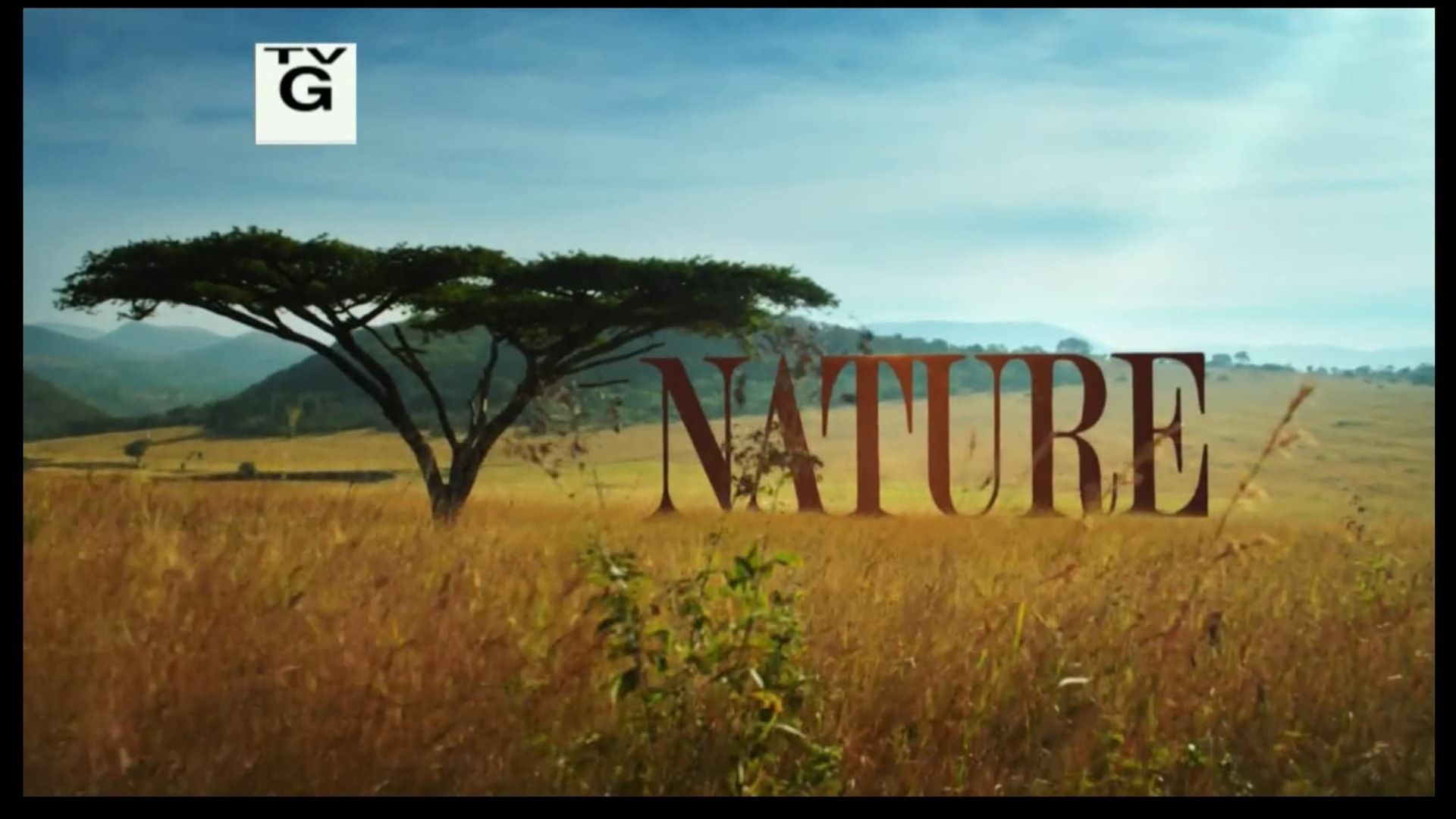 Nature background
