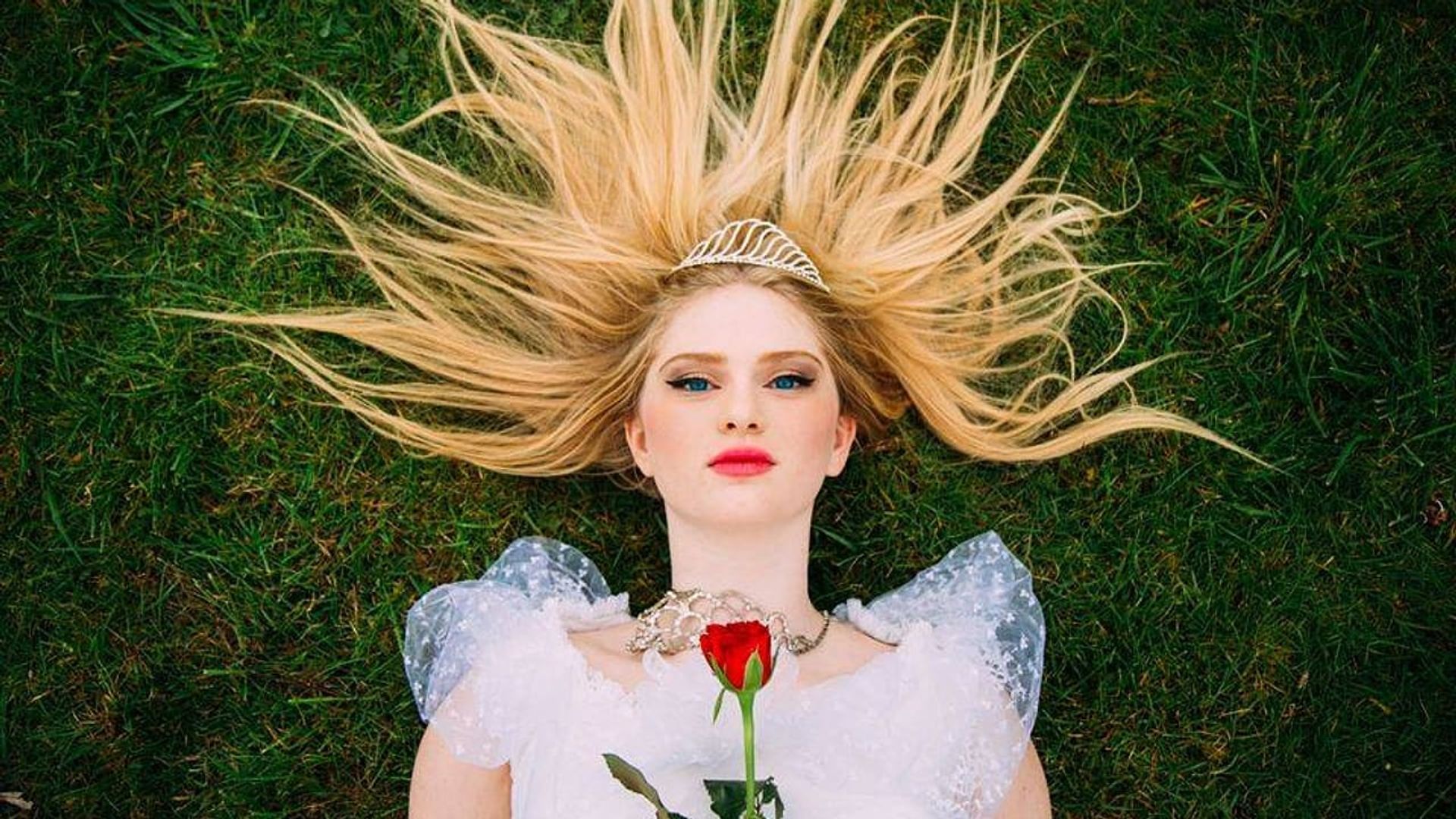 The Enchanted Rose background
