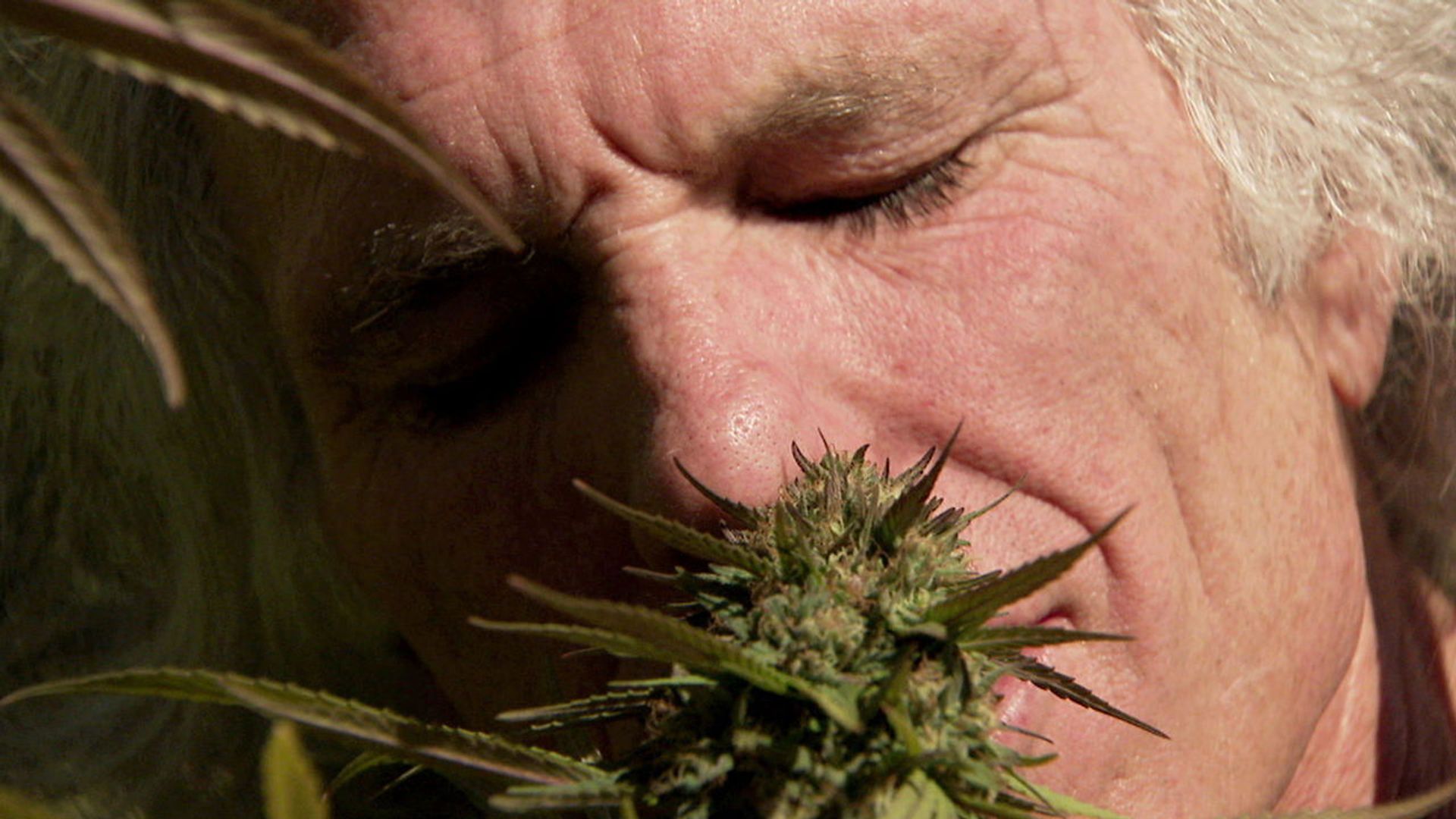 Inside: Medical Marijuana background