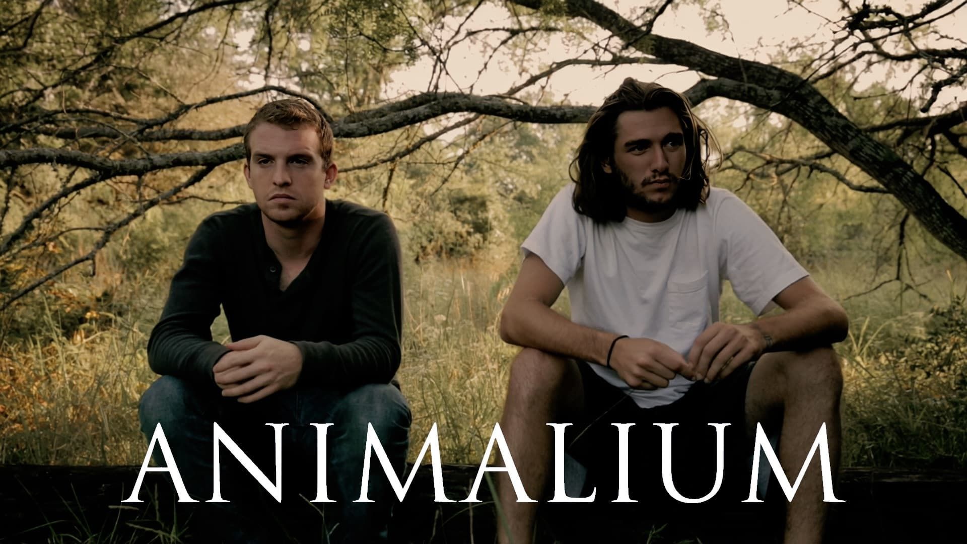 Animalium background