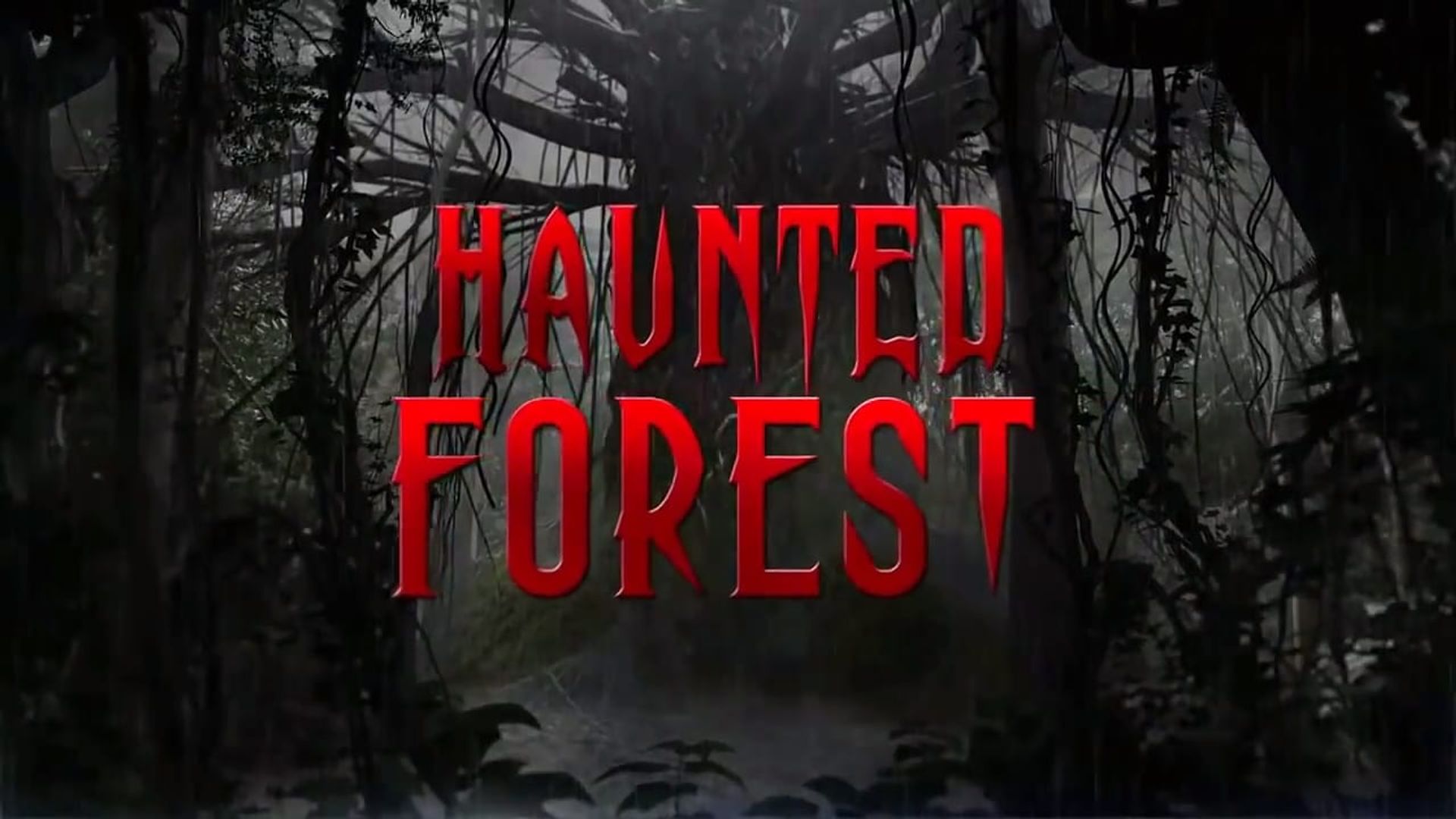 Haunted Forest background