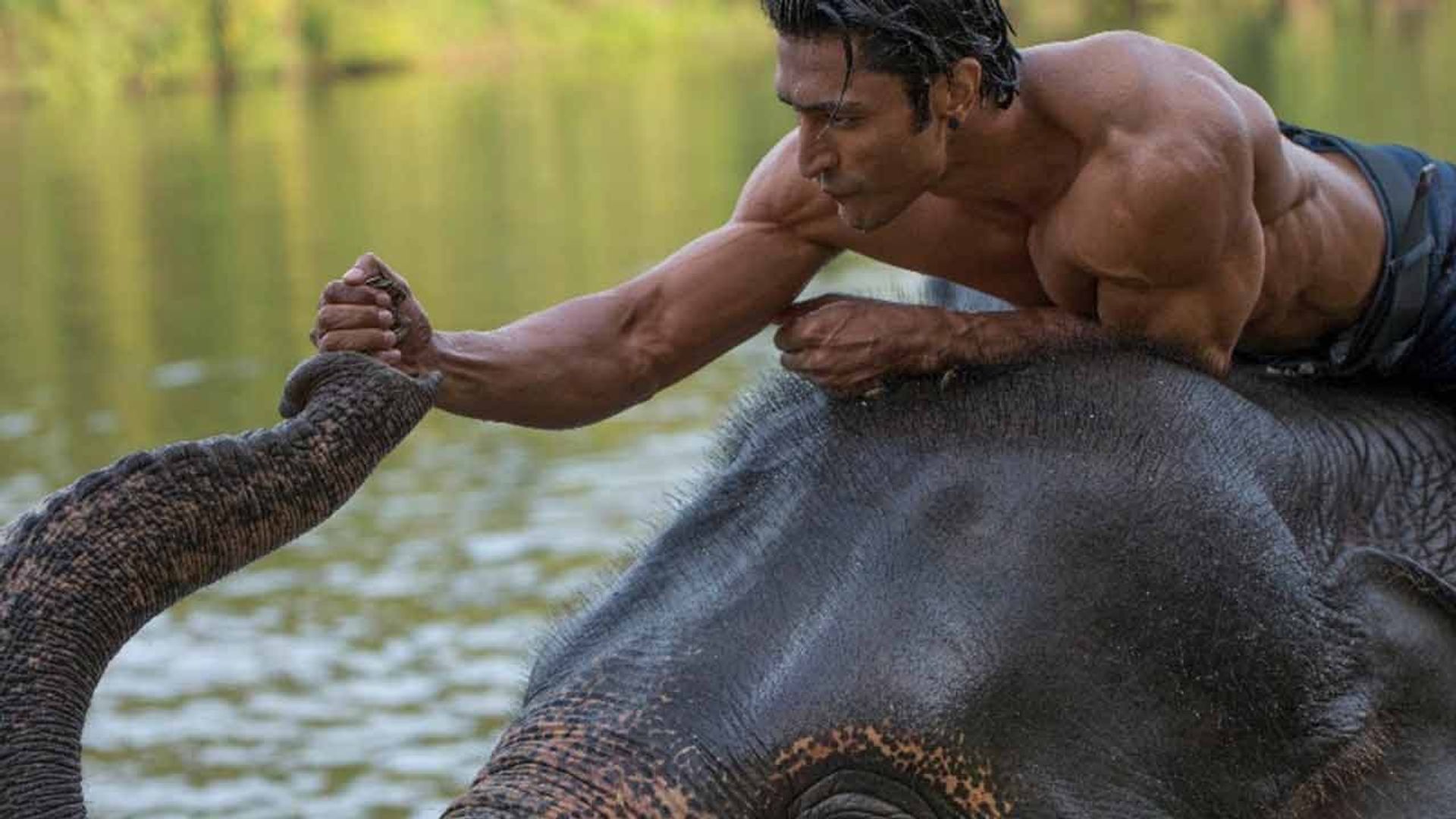 Junglee background