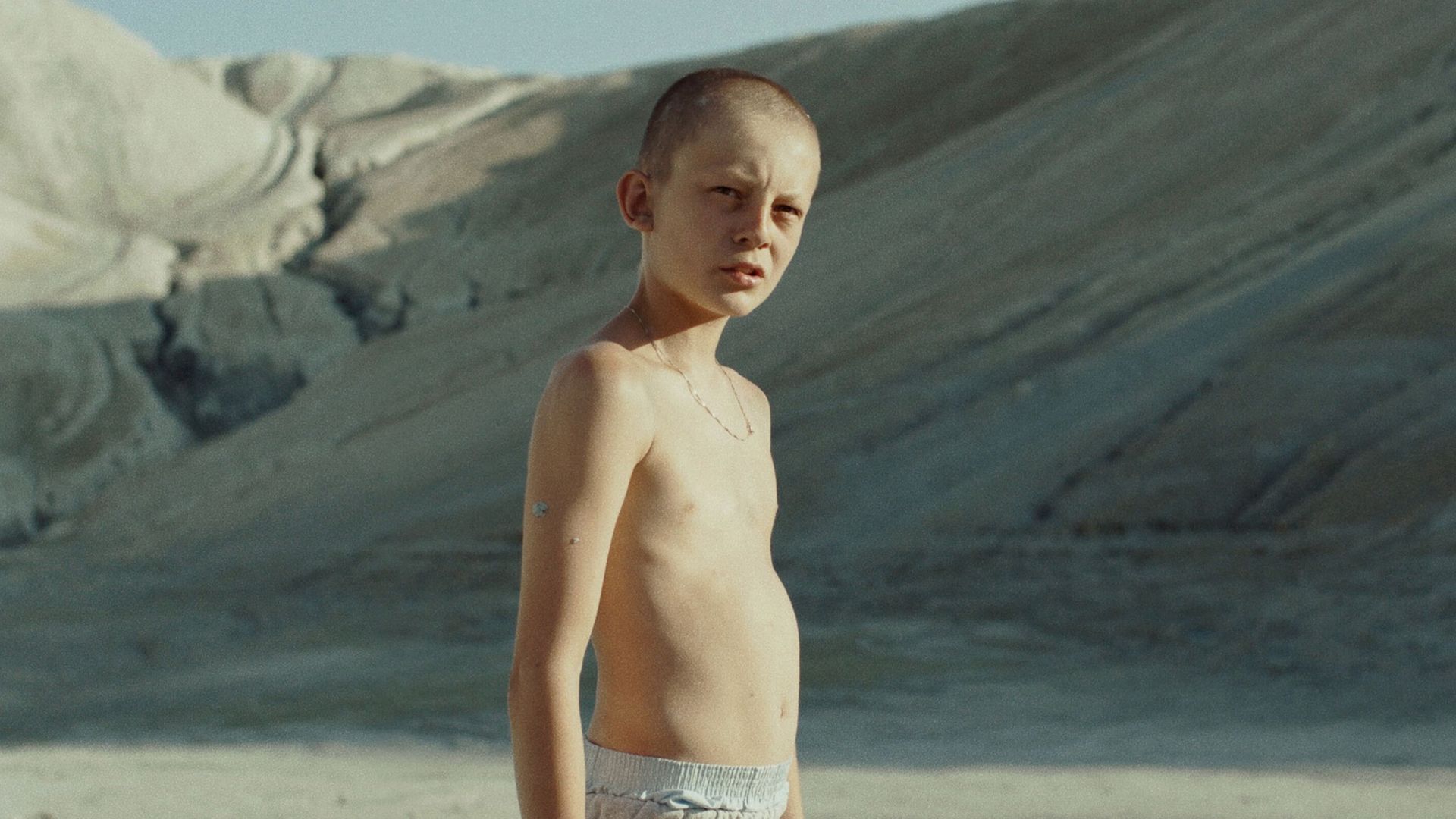 Fauve background