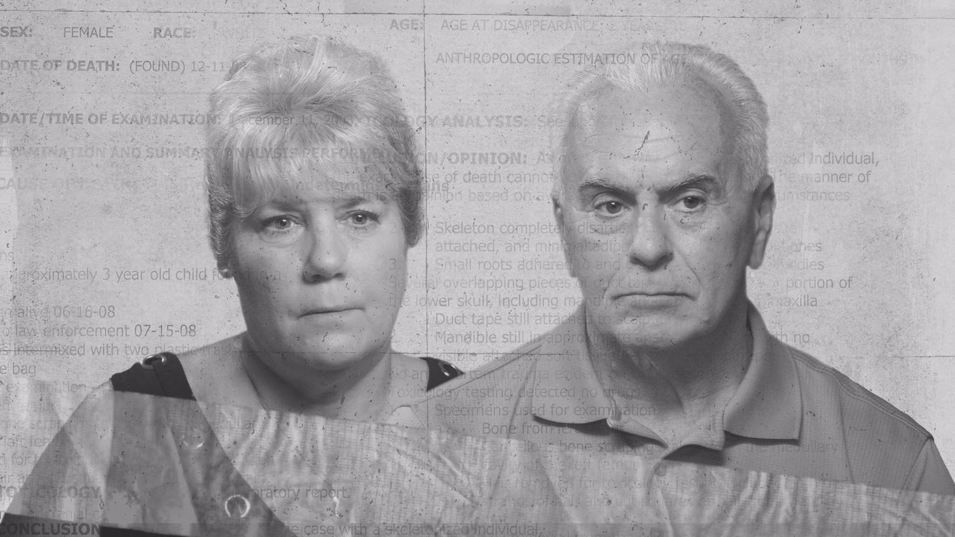 Crime Watch Daily background
