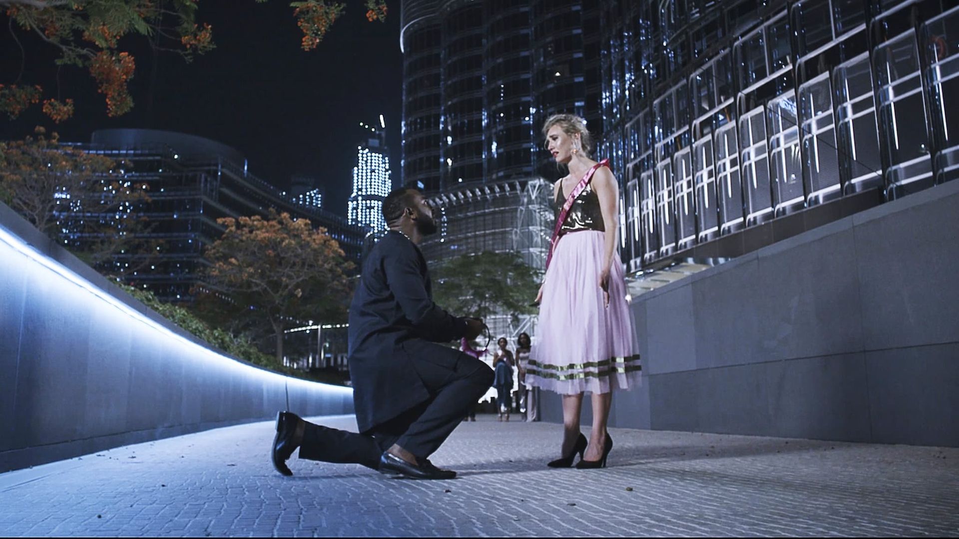 The Wedding Party 2: Destination Dubai background