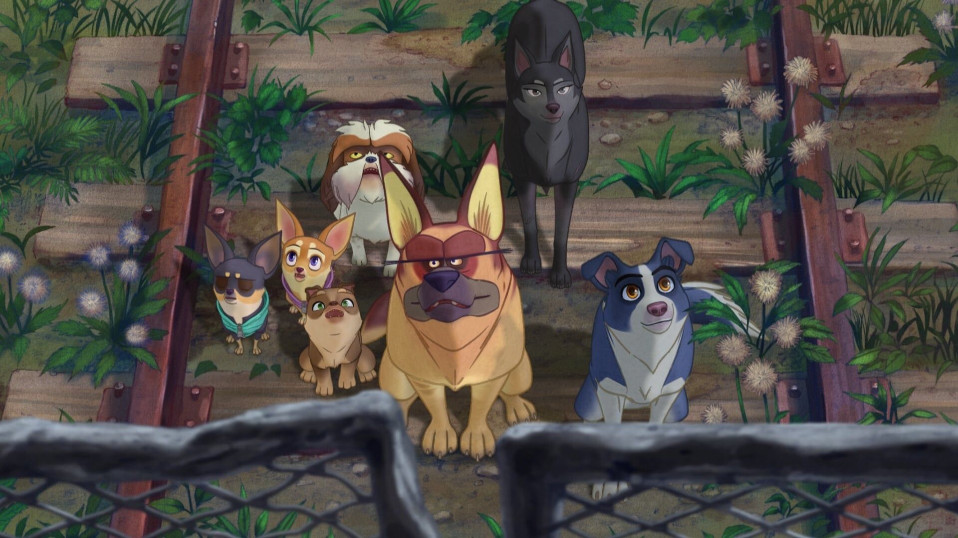 A Dog's Courage background