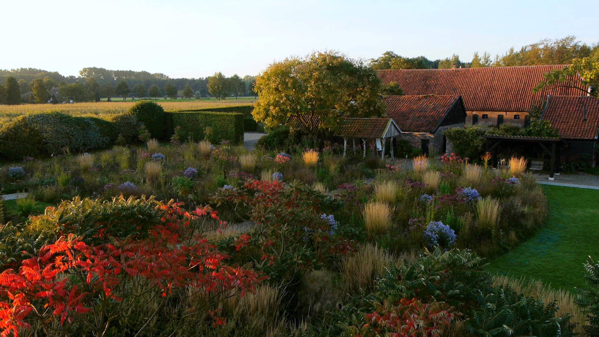 Five Seasons: The Gardens of Piet Oudolf background