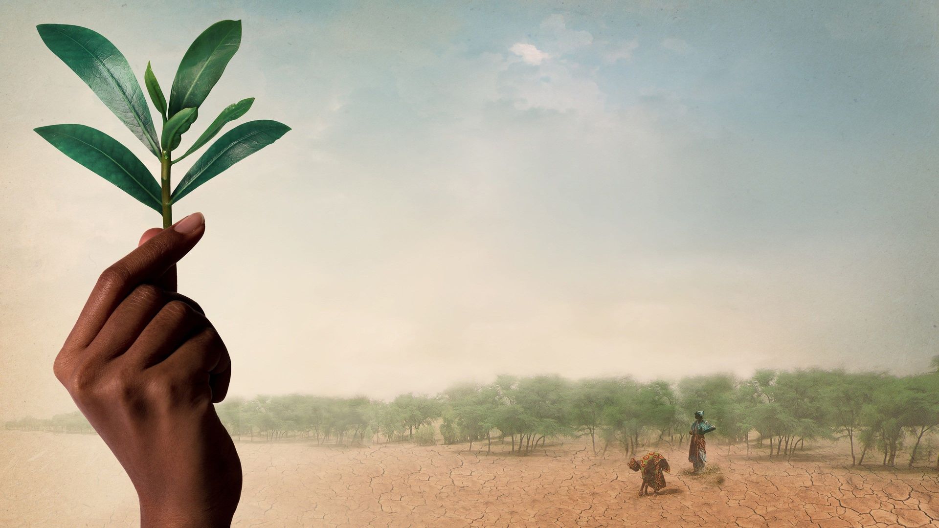 The Great Green Wall background