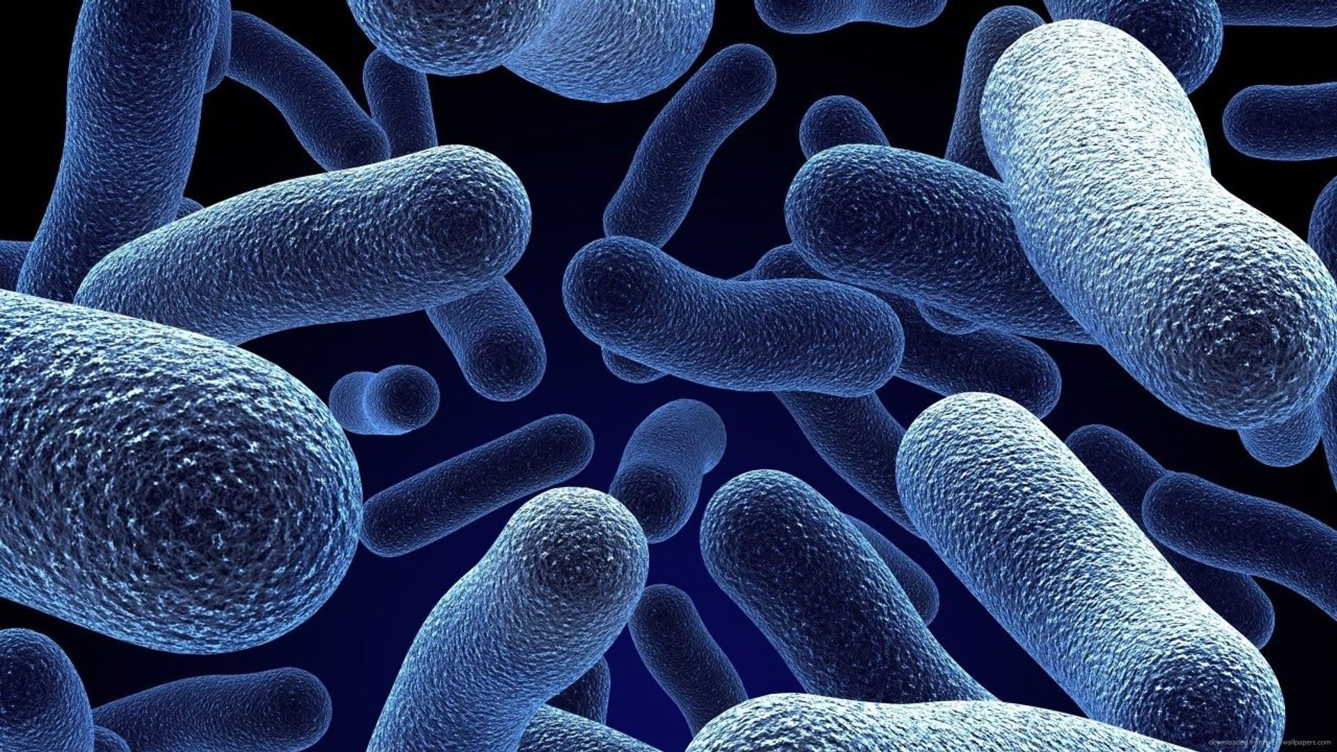Bacterial World background