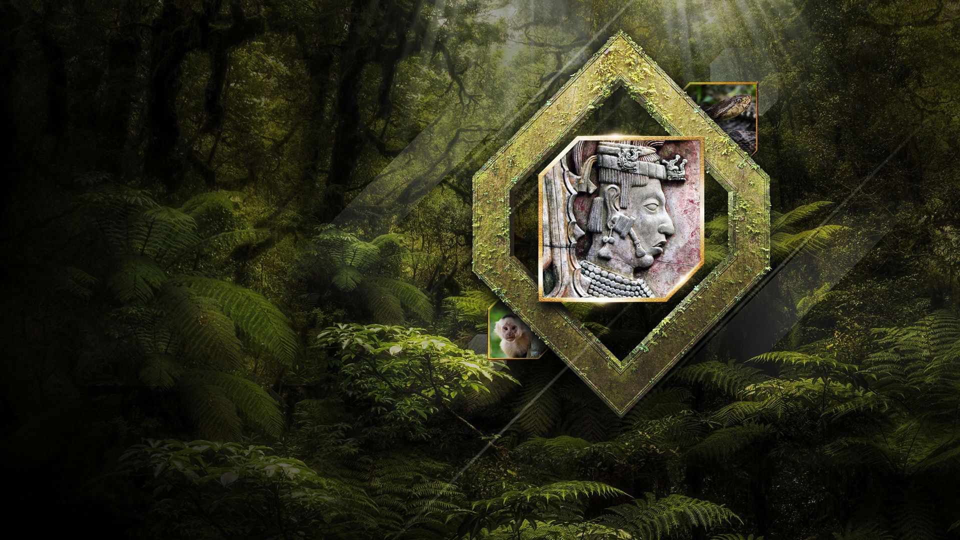 The Lost City of the Monkey God background