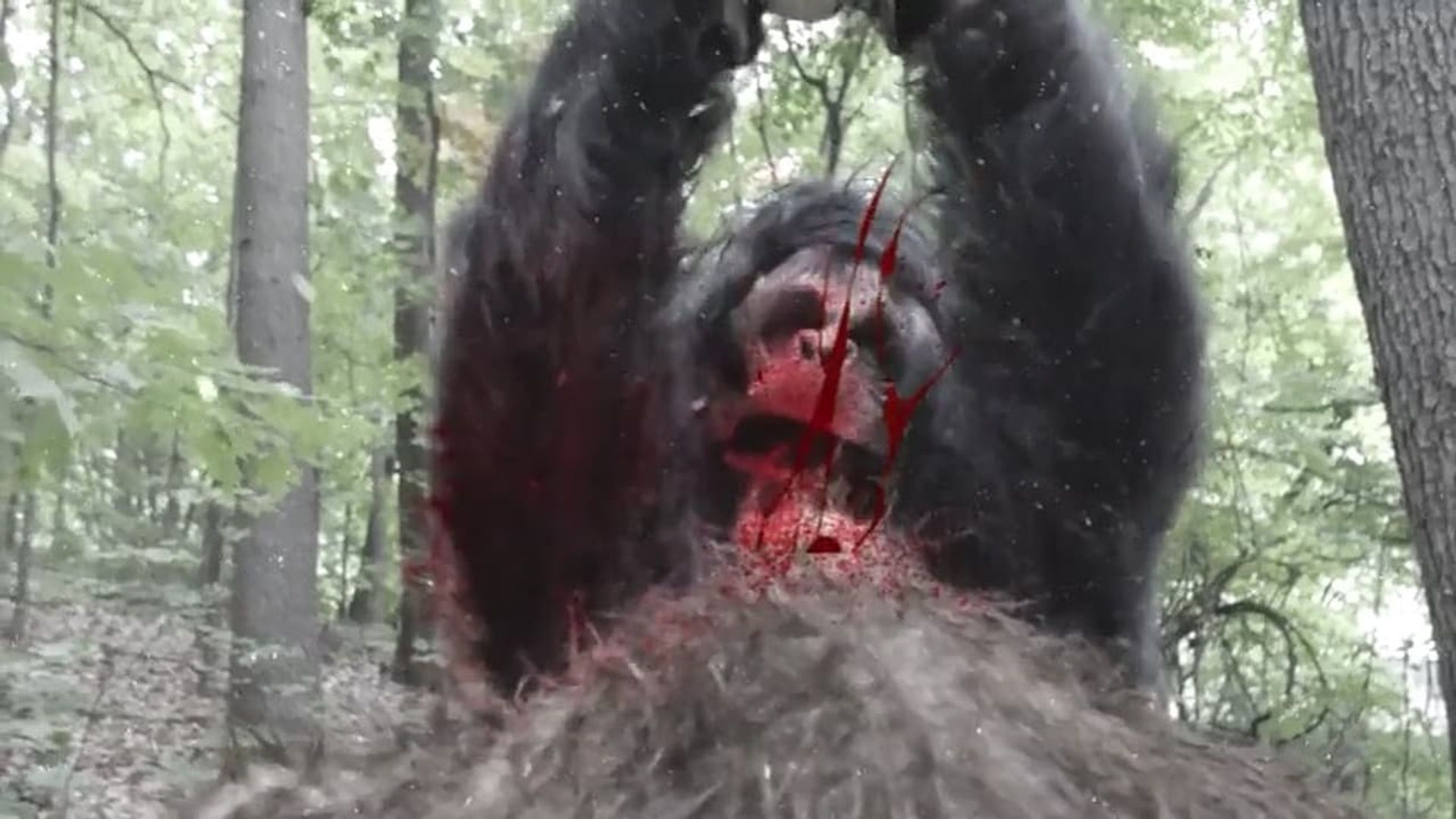 Frozen Sasquatch background