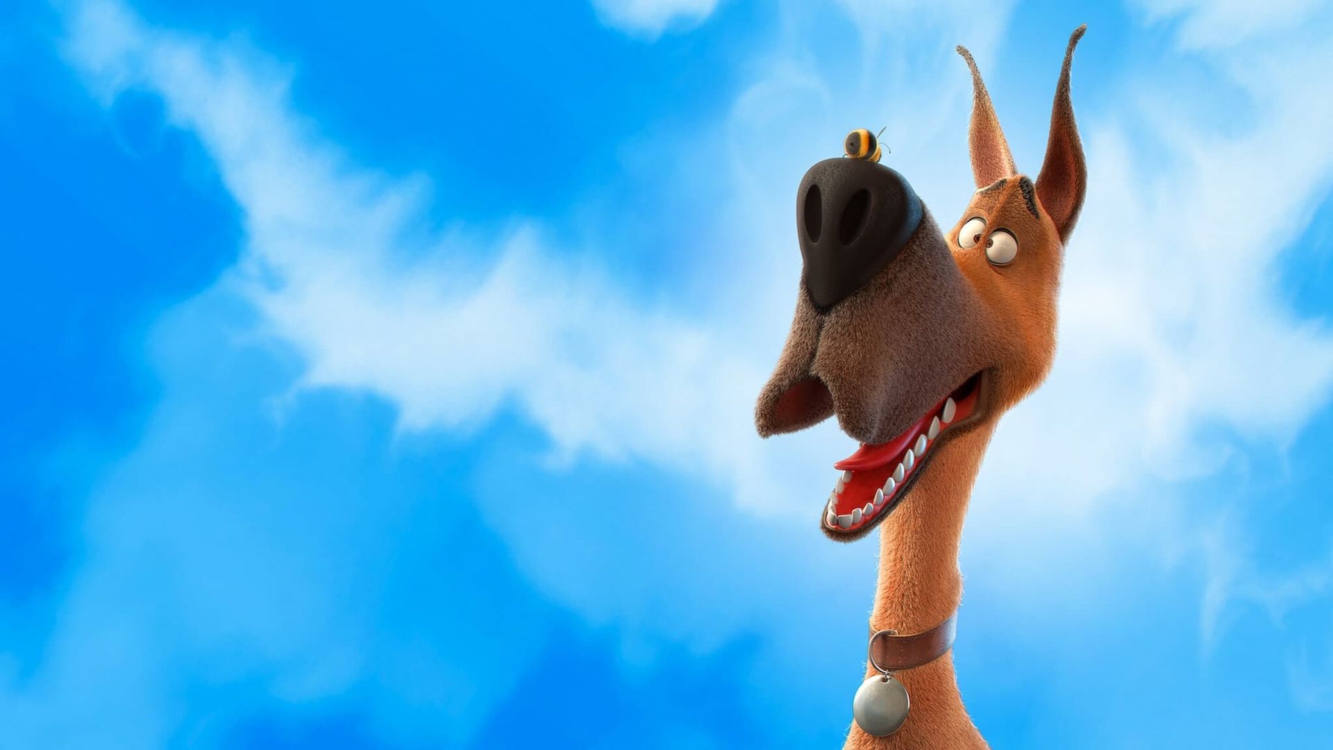 Marmaduke background