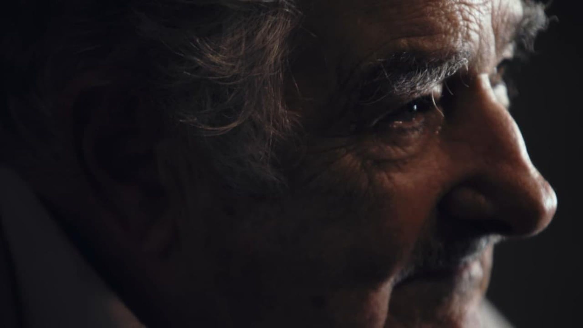 El Pepe: A Supreme Life background