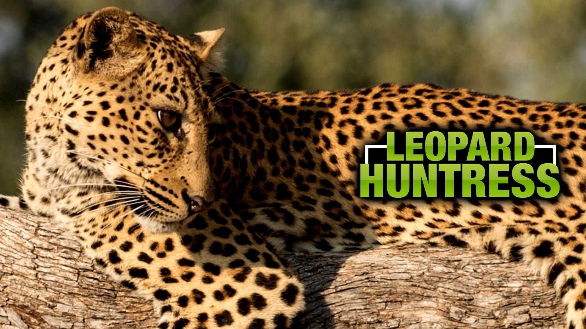 Malika Leopard Huntress background