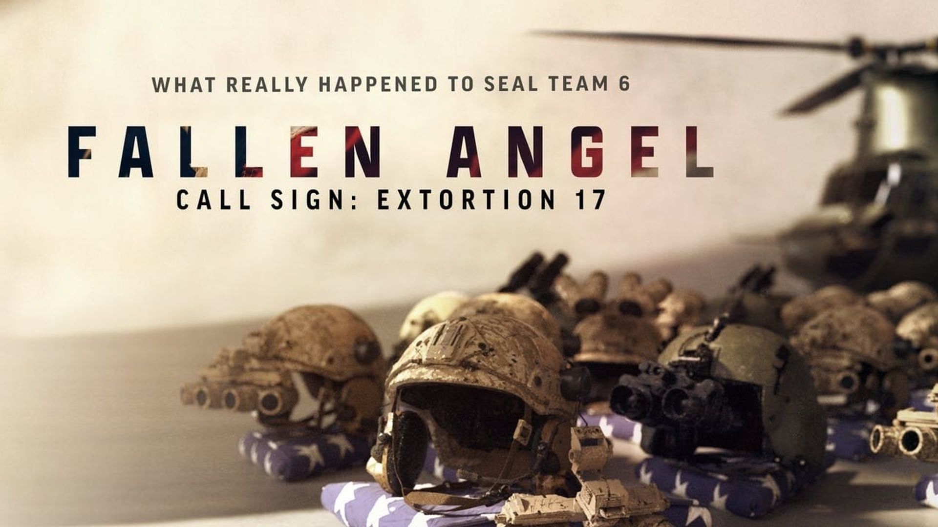 Fallen Angel: Call Sign - Extortion 17 background