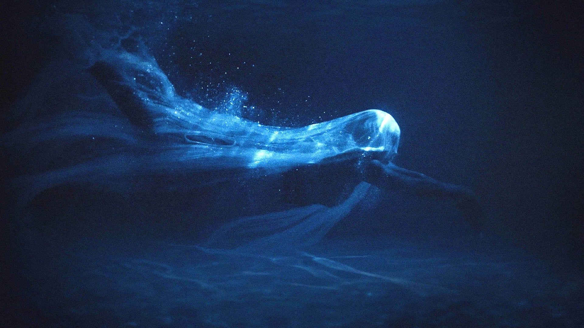 Water background