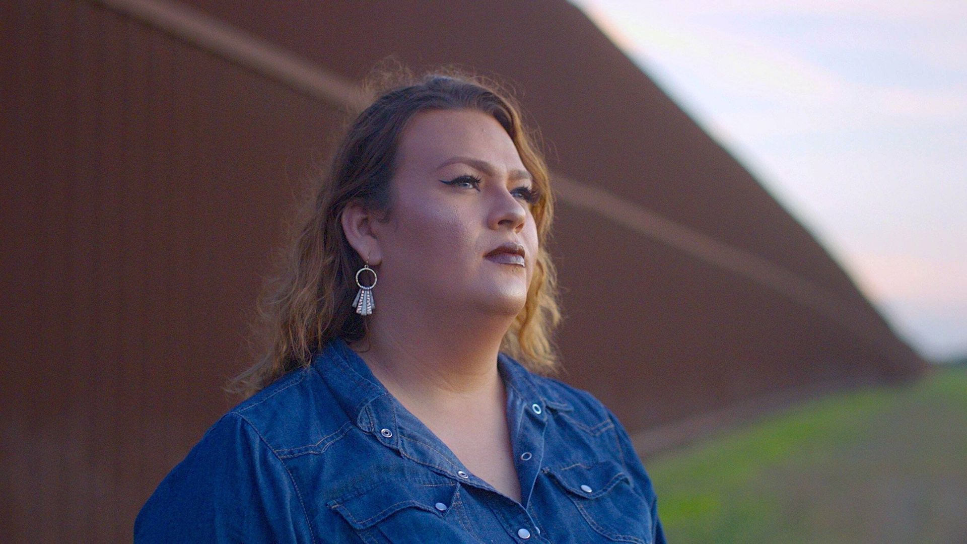 Trans in Trumpland background