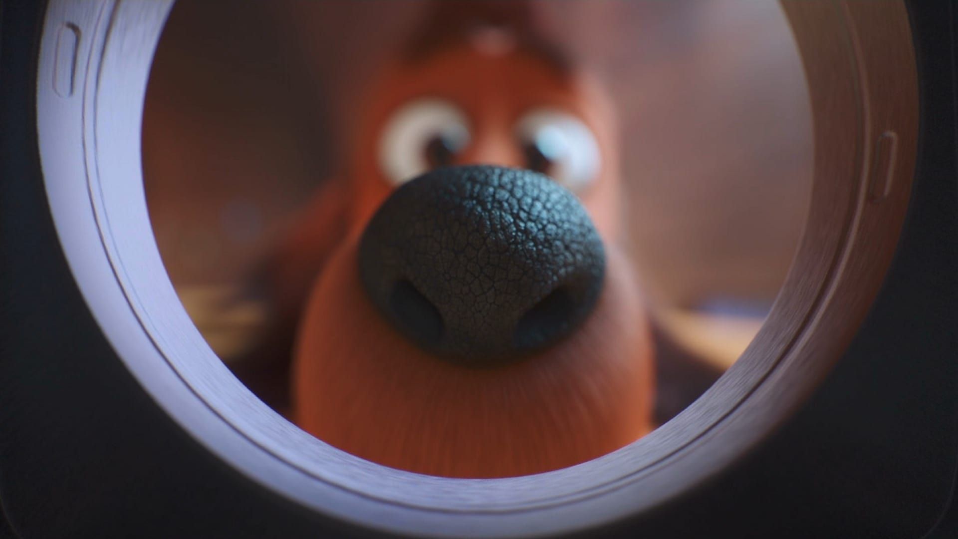 The Dog Days of Winter background