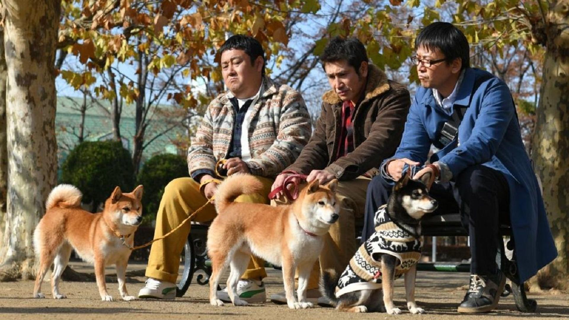 Shiba Park background