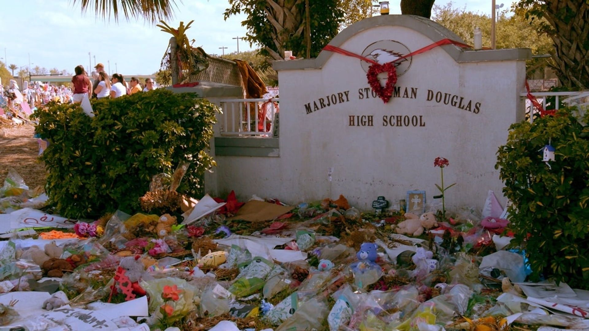 Song of Parkland background