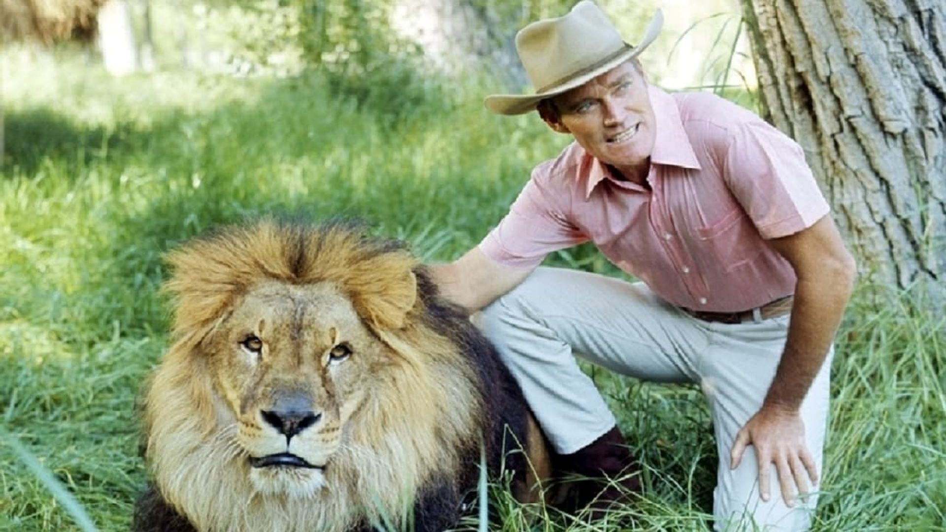 Cowboy in Africa background