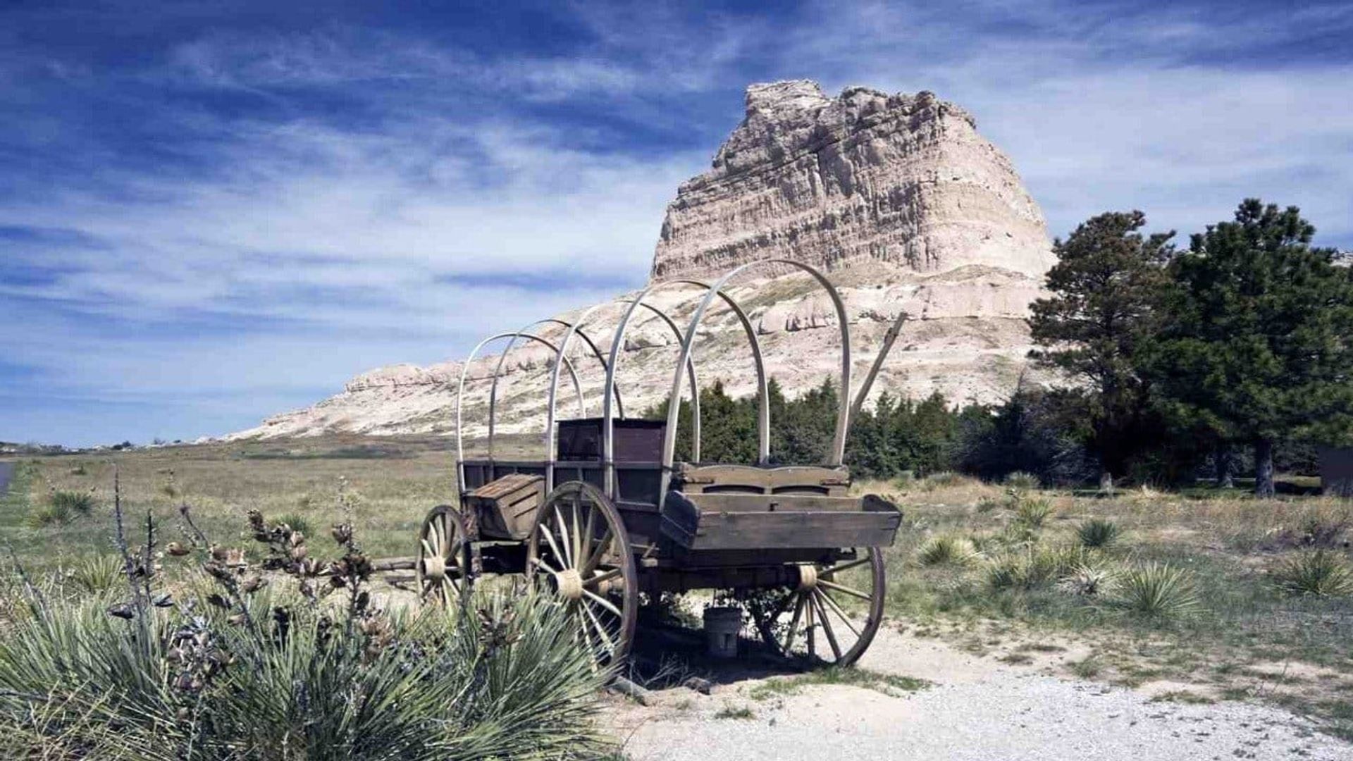 The Oregon Trail background