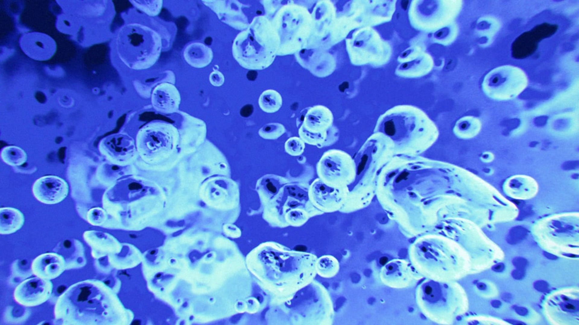 Liquid Television background