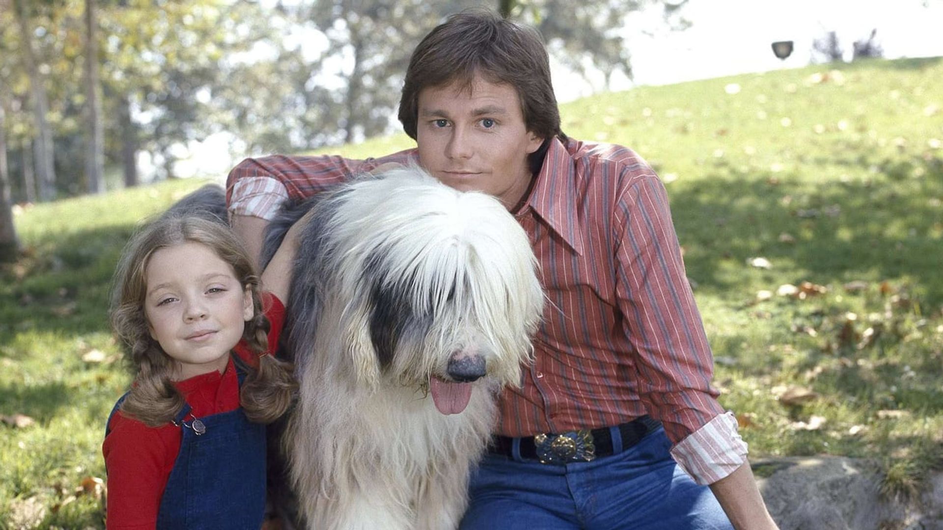 McDuff, the Talking Dog background
