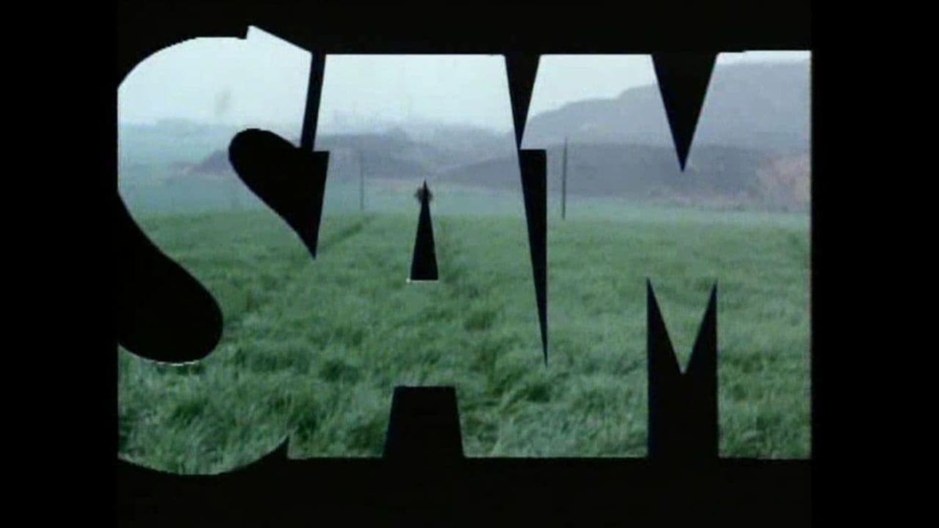 Sam background