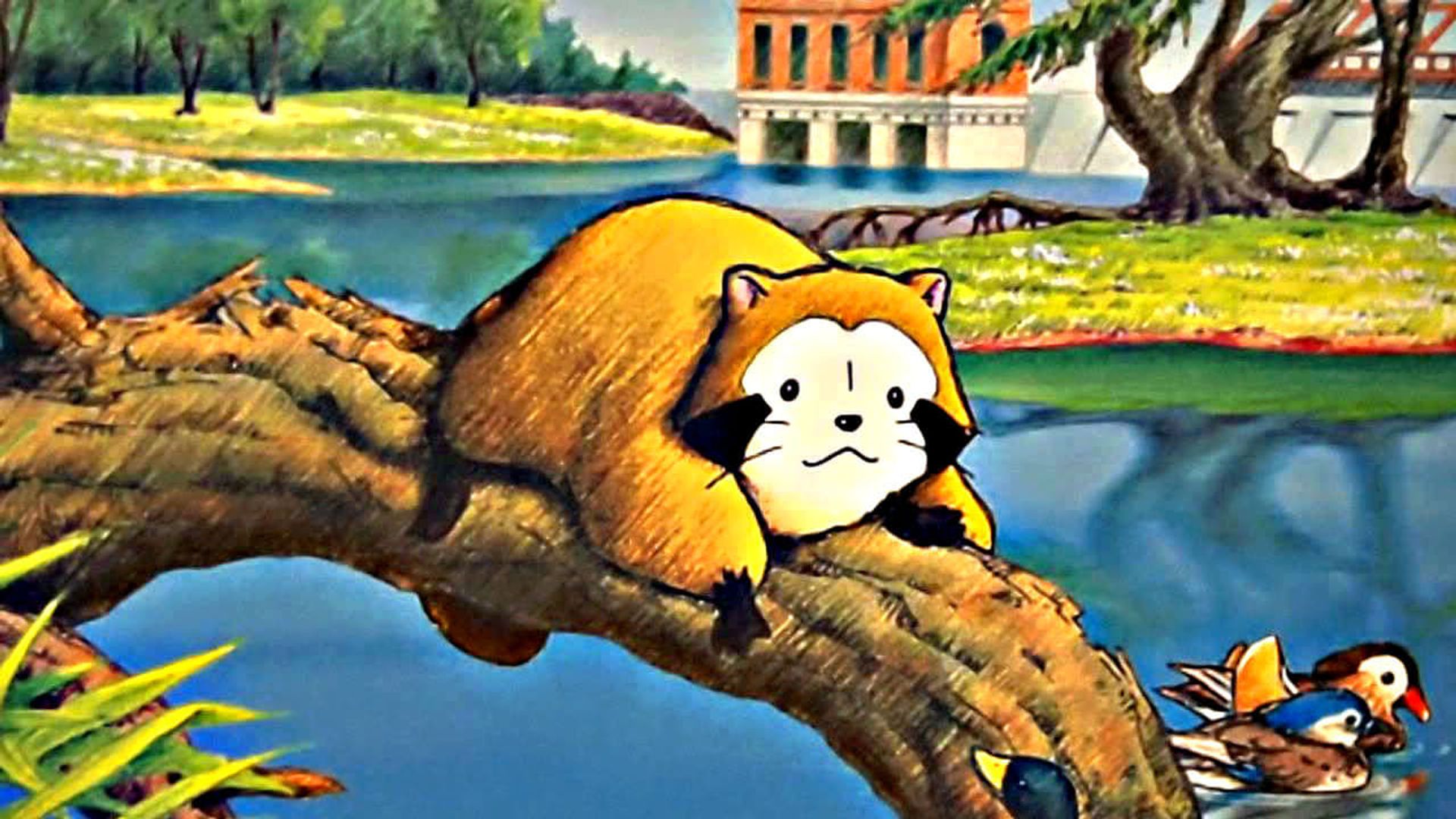 Araiguma Rasukaru background