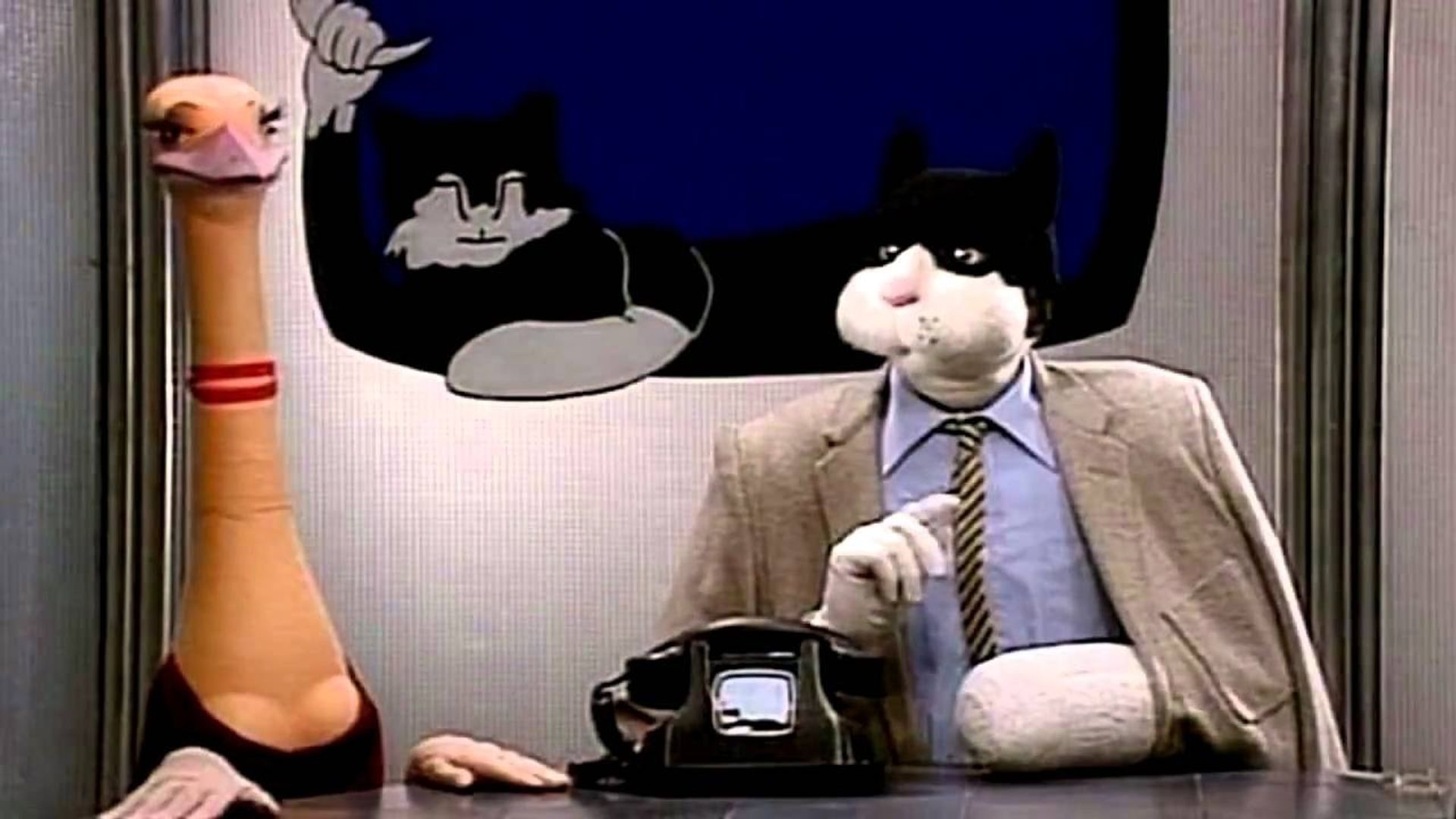 Téléchat background