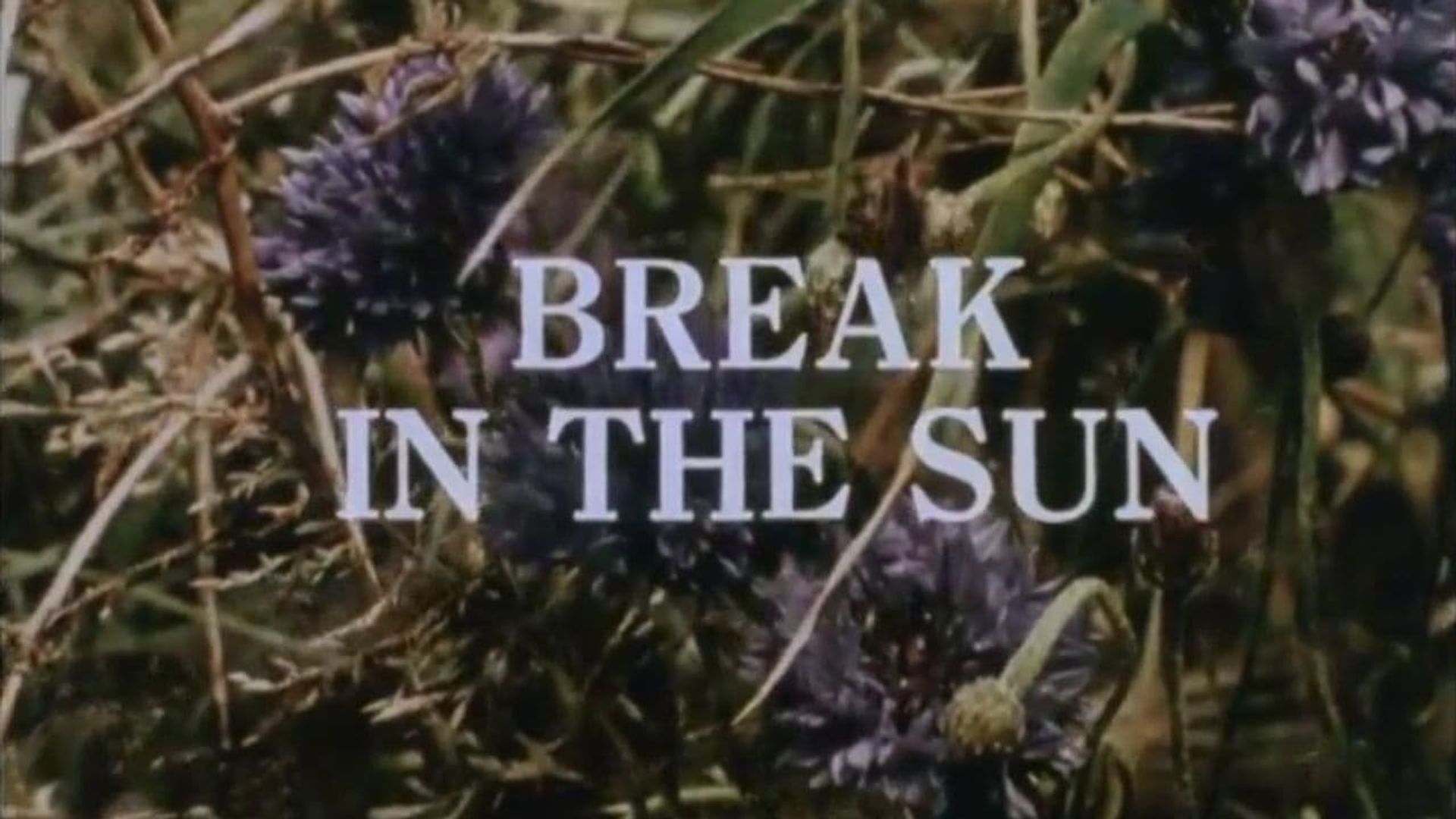 Break in the Sun background
