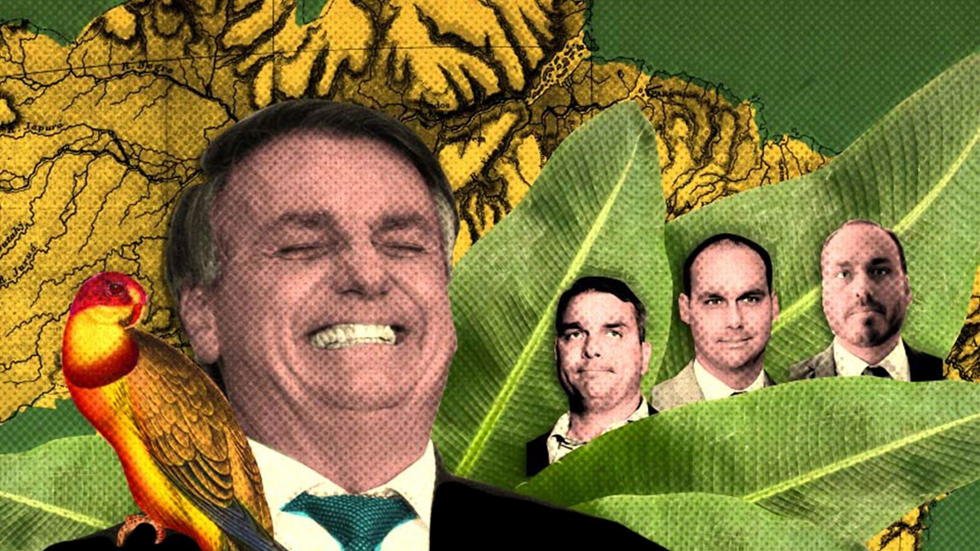 Rise of the Bolsonaros background