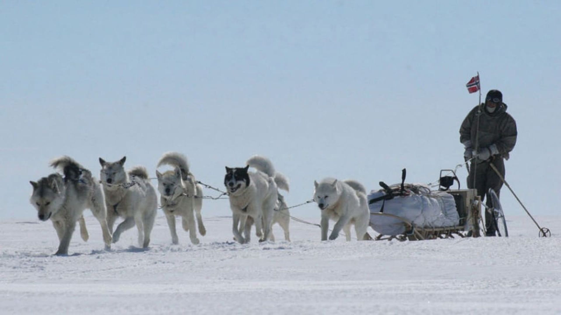 Blizzard: Race to the Pole background