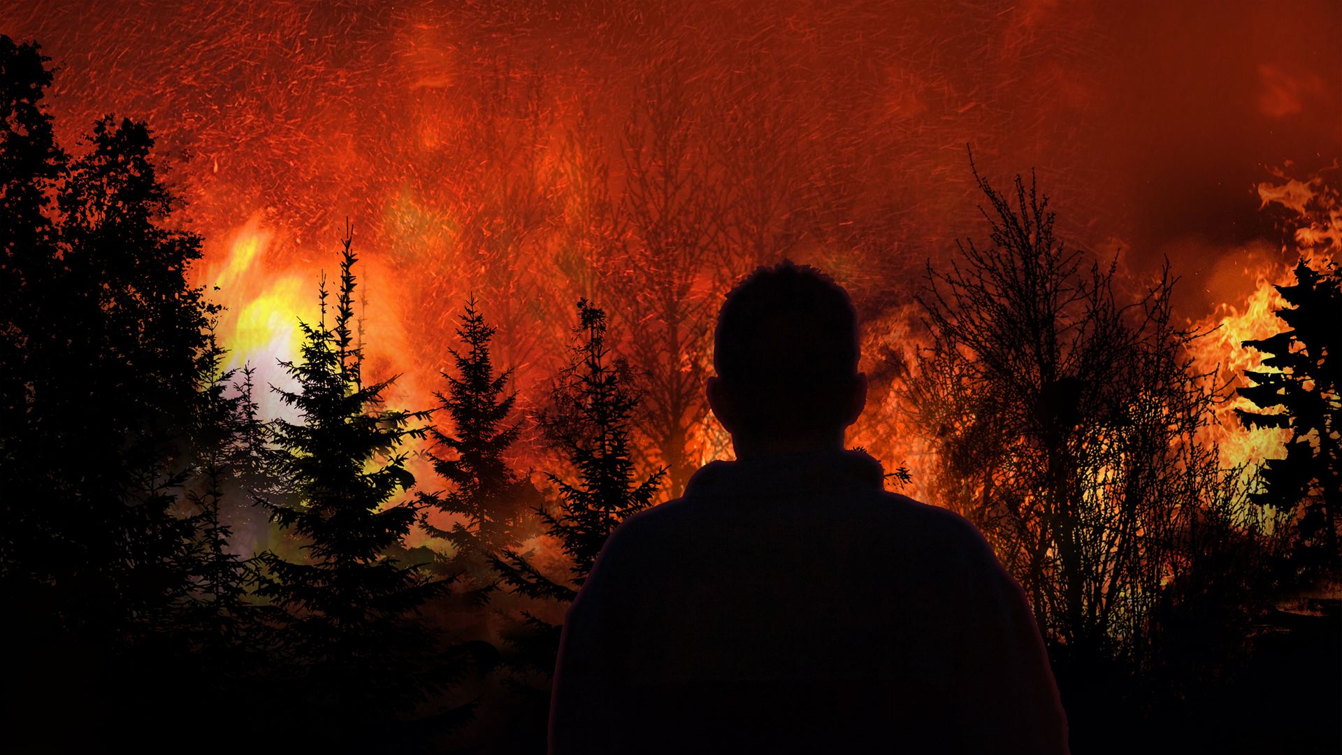 Witness to Disaster background