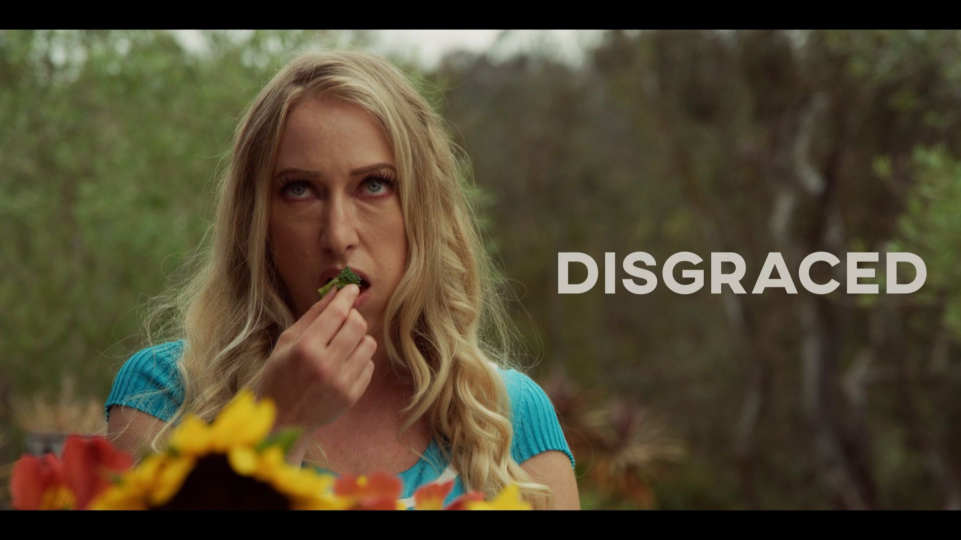 DisGraced background