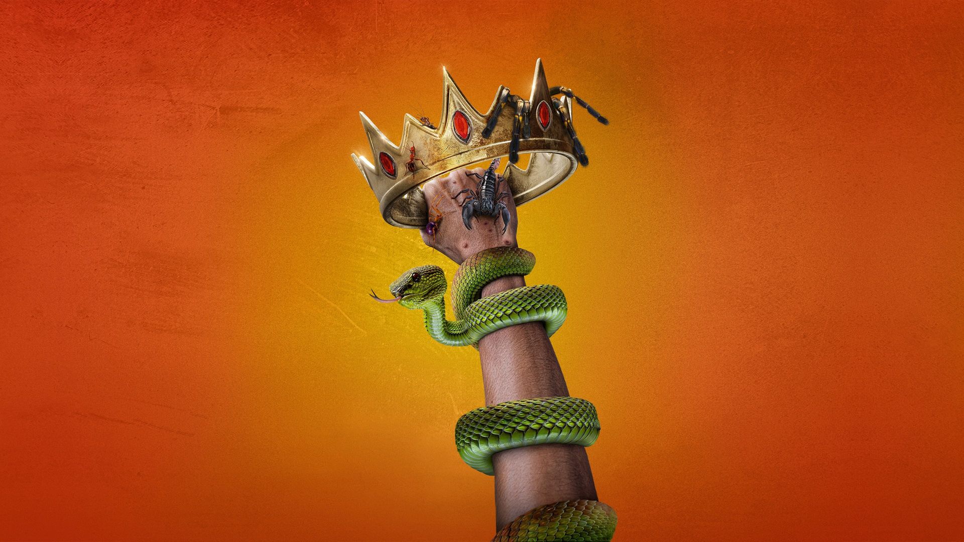 Kings of Pain background