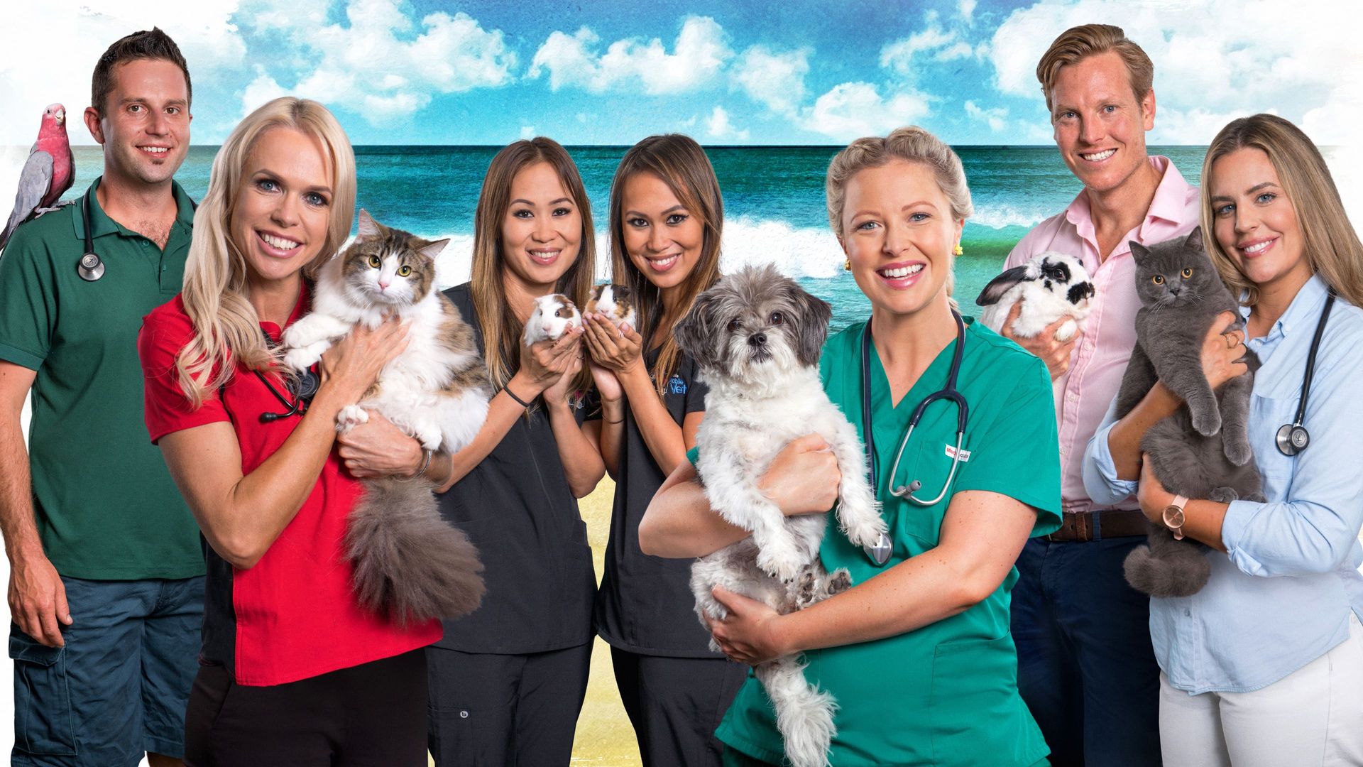 Bondi Vet: Coast to Coast background