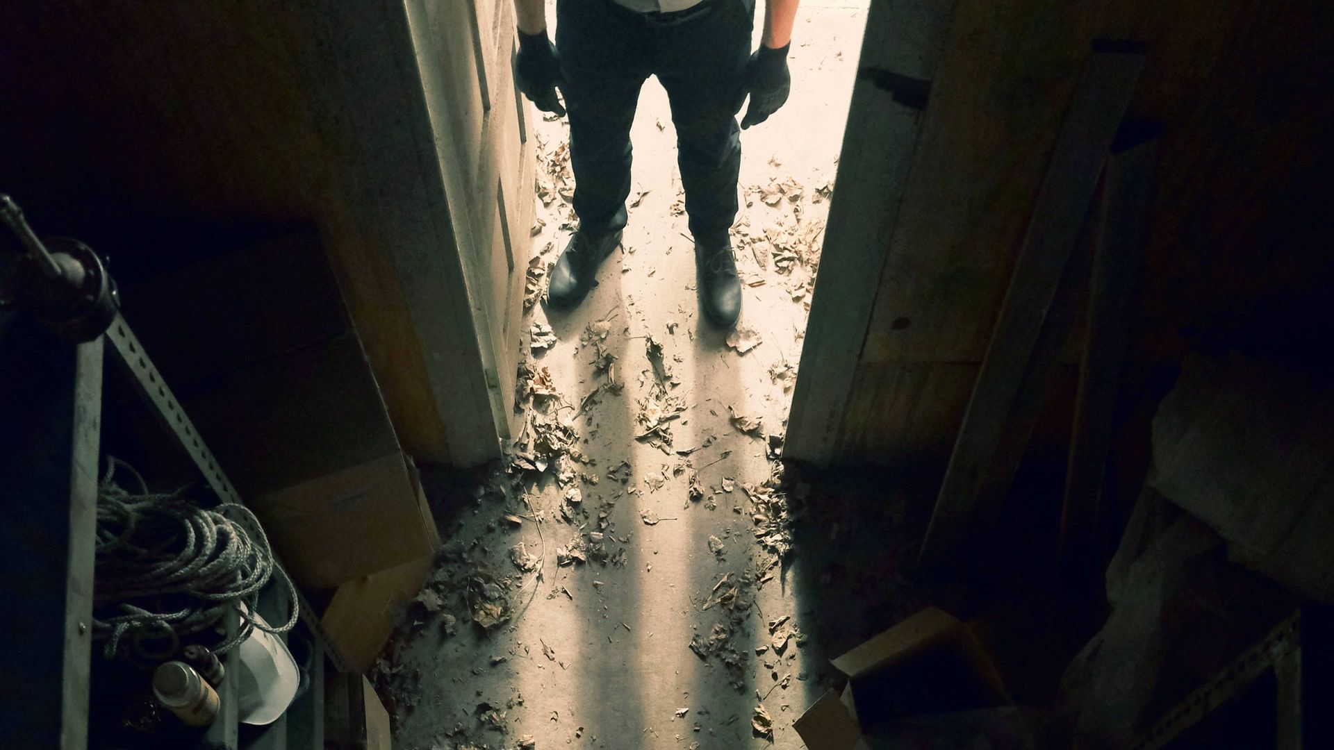 Murder Comes Home background